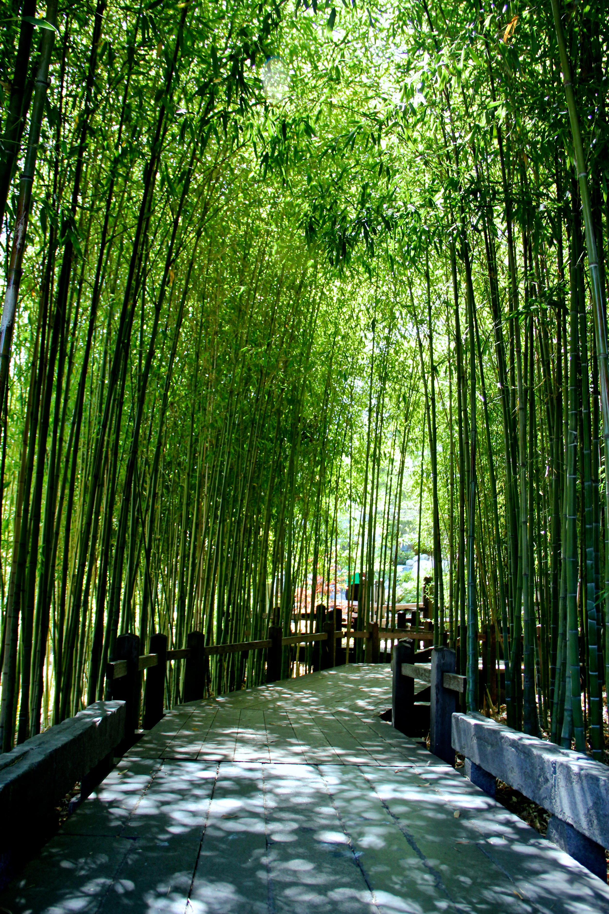 tranquility