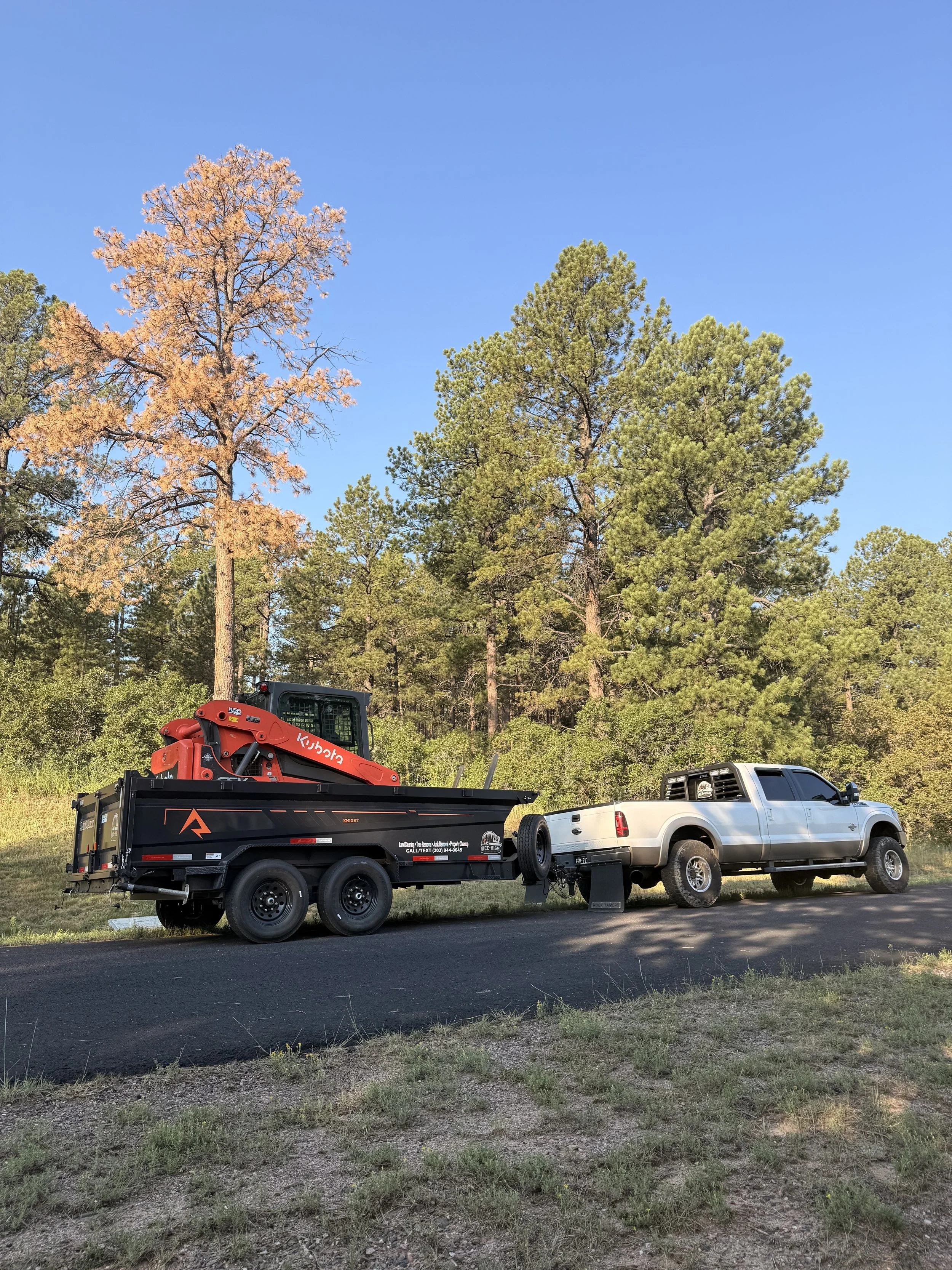 A white pickup truck towing a black utility trailer with a red compact excavator attached, parked on a grassy roadside with a forest of tall pine and deciduous trees under a clear blue sky.