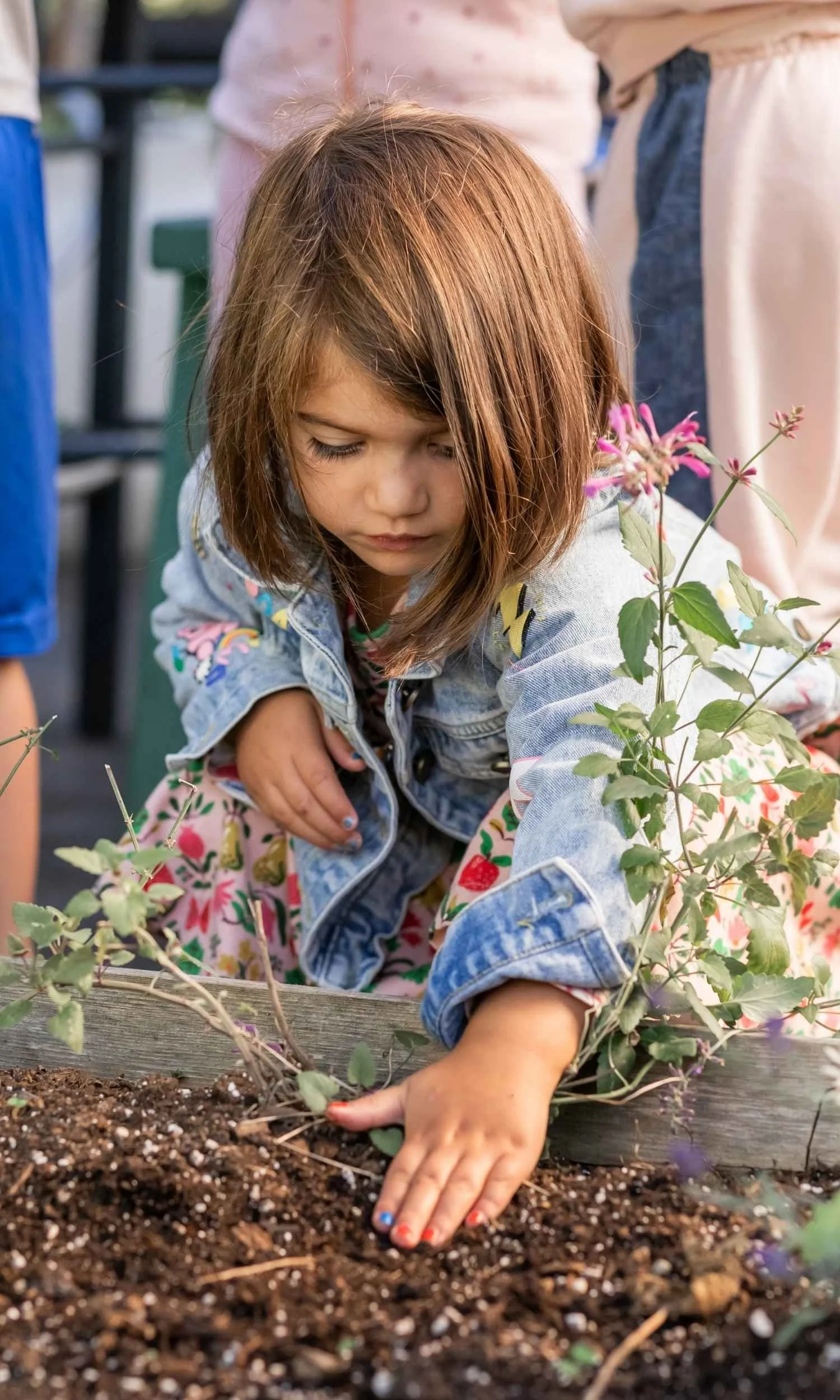 A Nantucket Lighthouse School Small School student with brown hair plants a seed in the soil during horticulture class, engaging in hands-on gardening and exploring the natural world in the school garden.