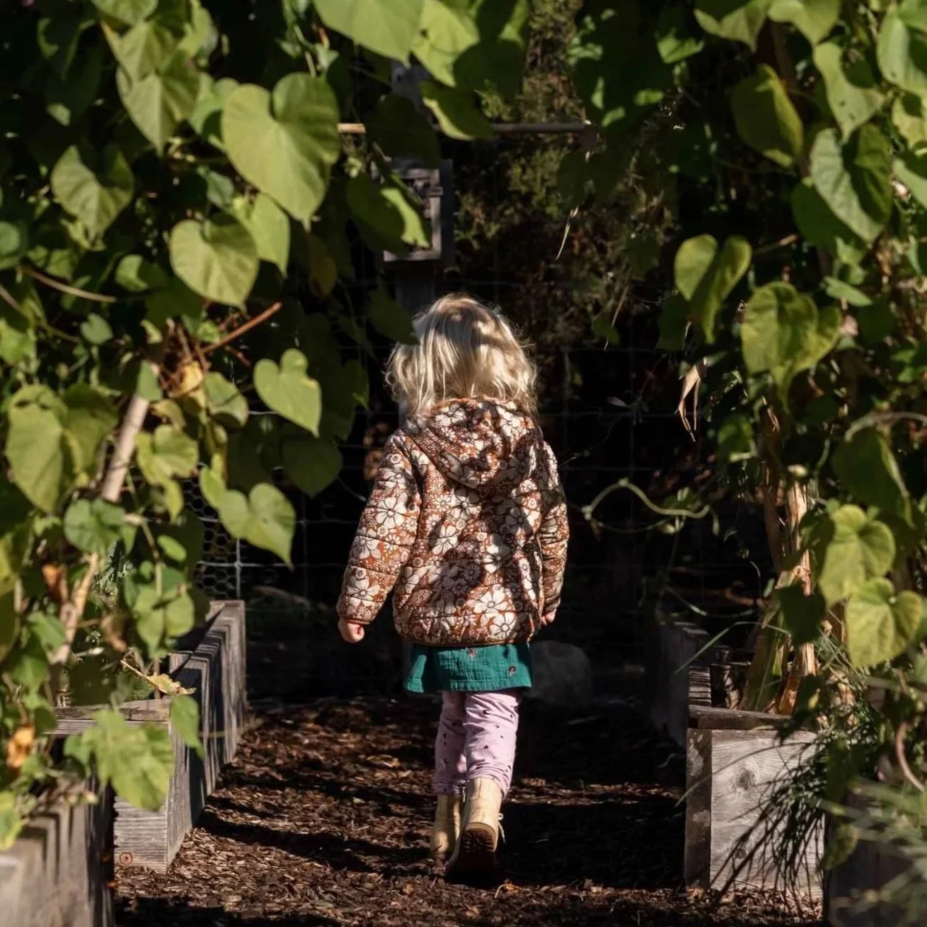 A Nantucket Lighthouse School Small School student explores a garden path surrounded by lush green plants and foliage, enjoying a quiet moment of outdoor discovery.