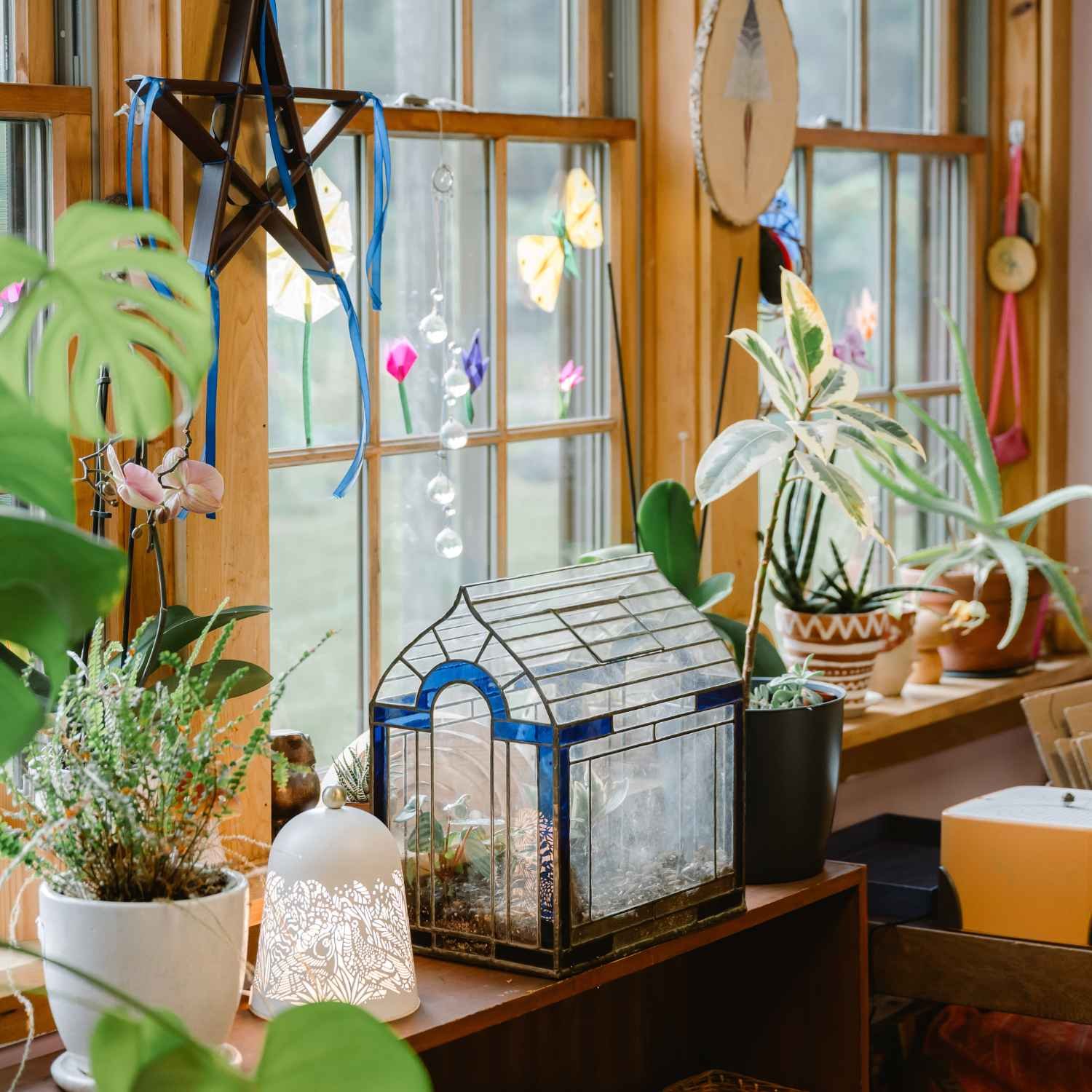 A sunlit classroom windowsill at Nantucket Lighthouse School, featuring potted plants, a glass terrarium, and natural decorations that bring elements of the outdoors into the learning environment.