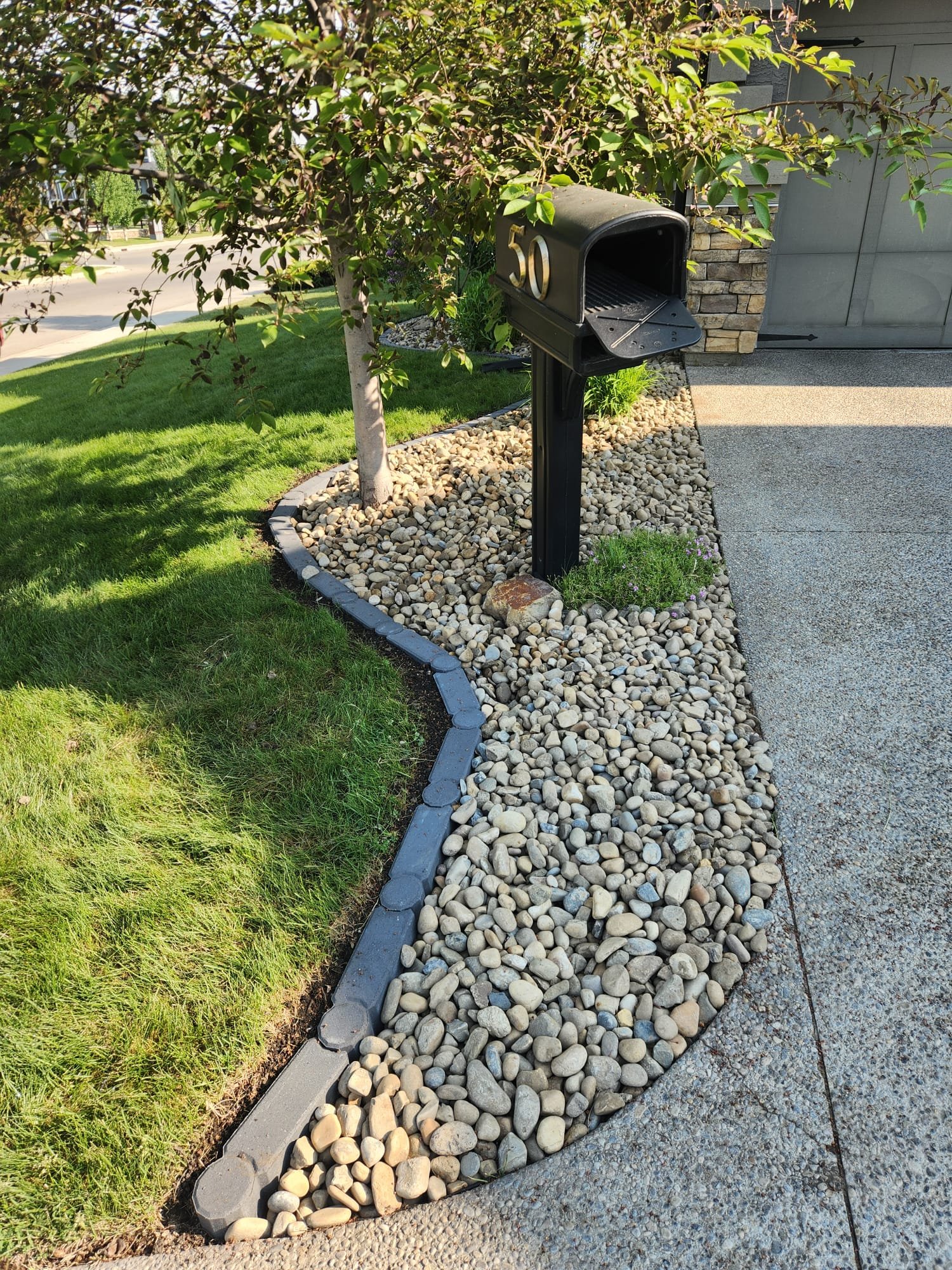 A black mailbox with the number 50 on it, located beside a small tree with purple leaves, surrounded by a border of gray bricks and rocks, with green grass on one side and a concrete driveway on the other.