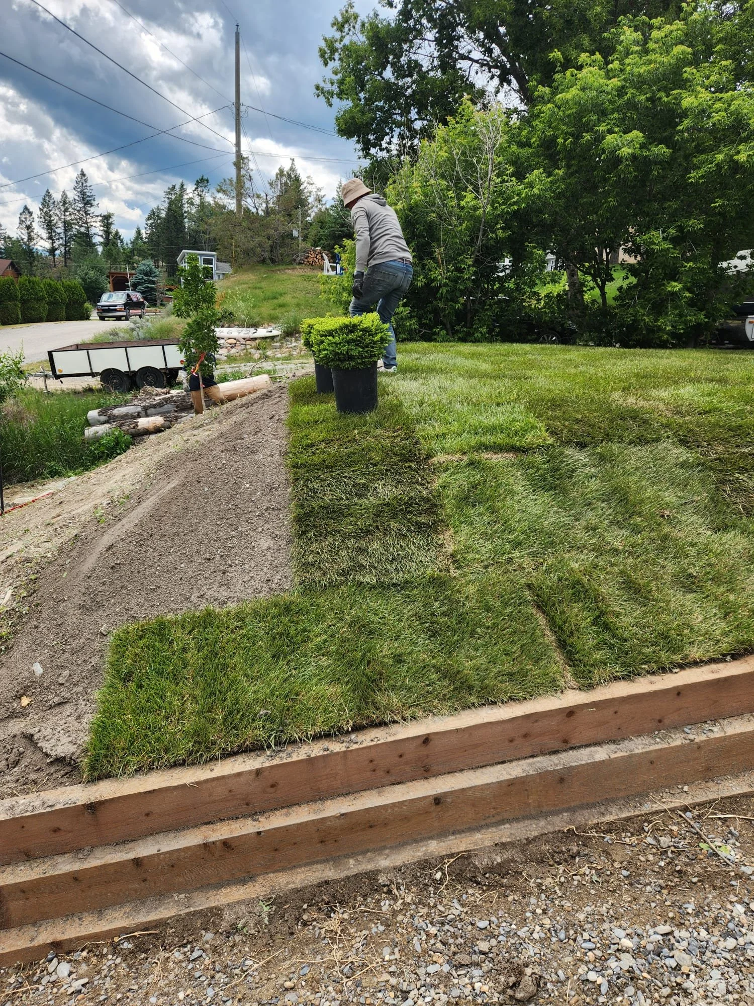 A person planting grass sod on a garden bed with a wooden border, with trees and parked cars in the background, under a cloudy sky.