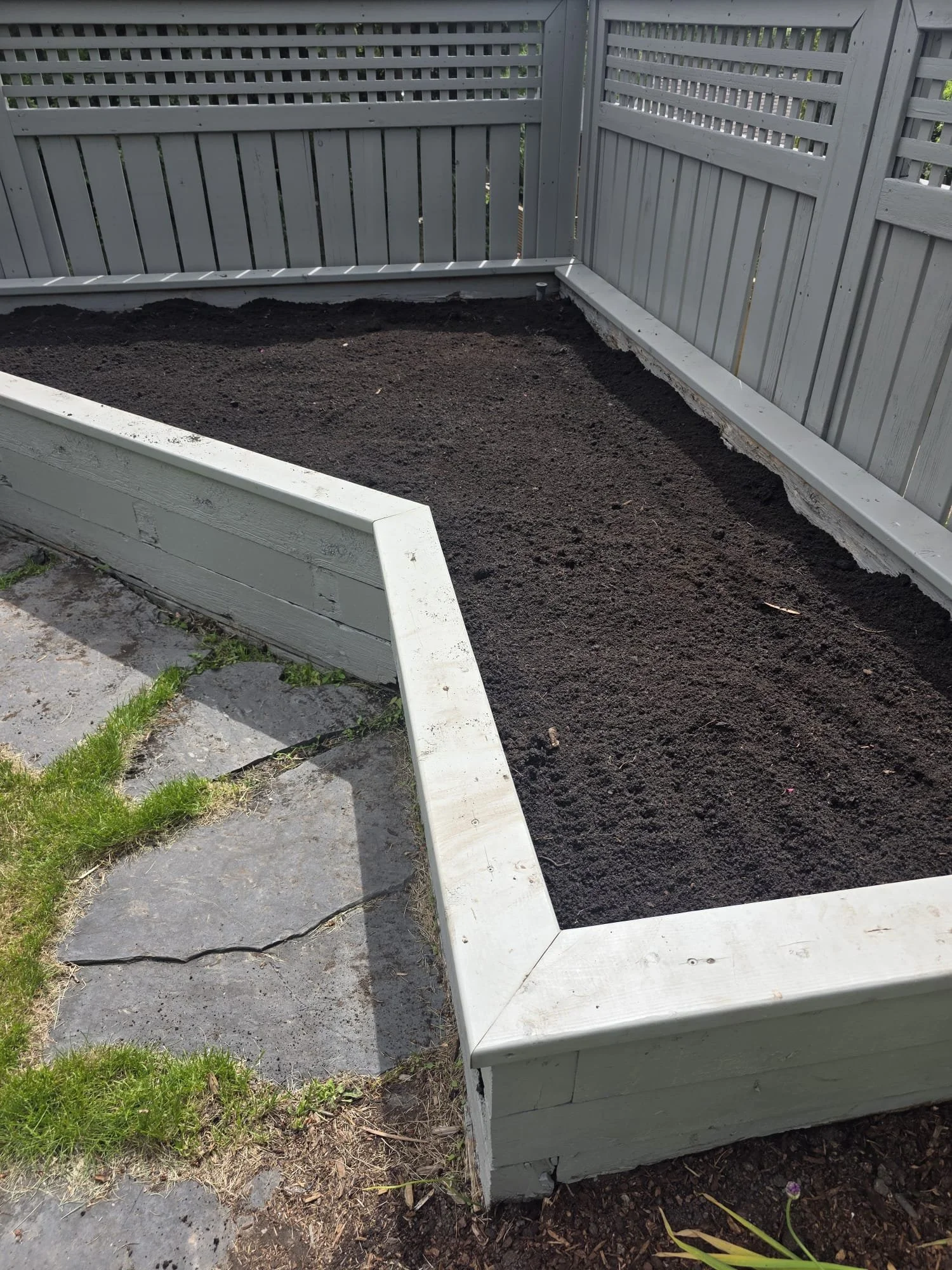 A rectangular garden bed with dark soil, surrounded by a white wooden frame, situated in an outdoor space next to a grey wooden privacy fence.