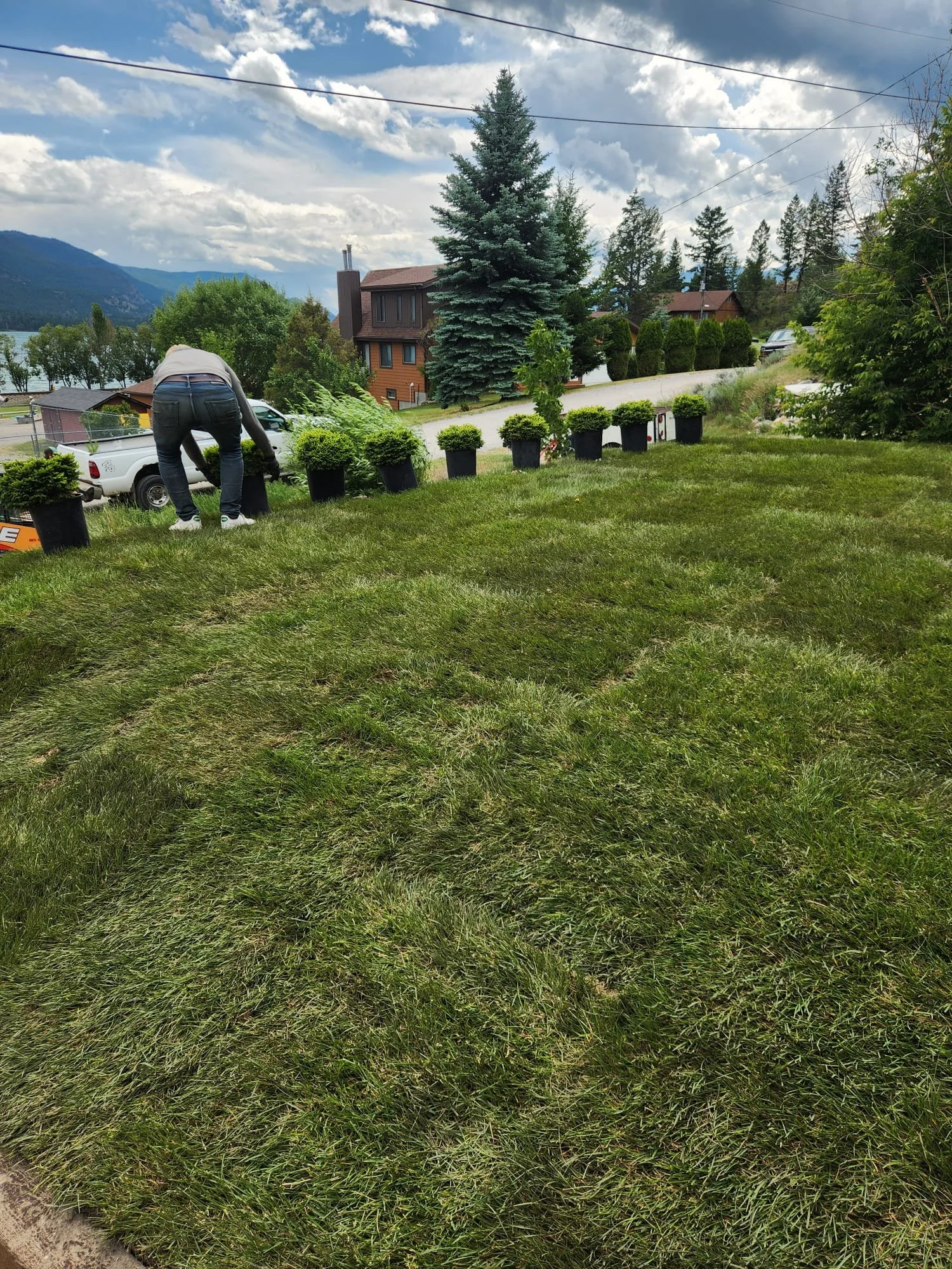 Person in gray hoodie and jeans planting or working with potted plants on a grassy yard with trees, houses, mountains, and a lake in the background.