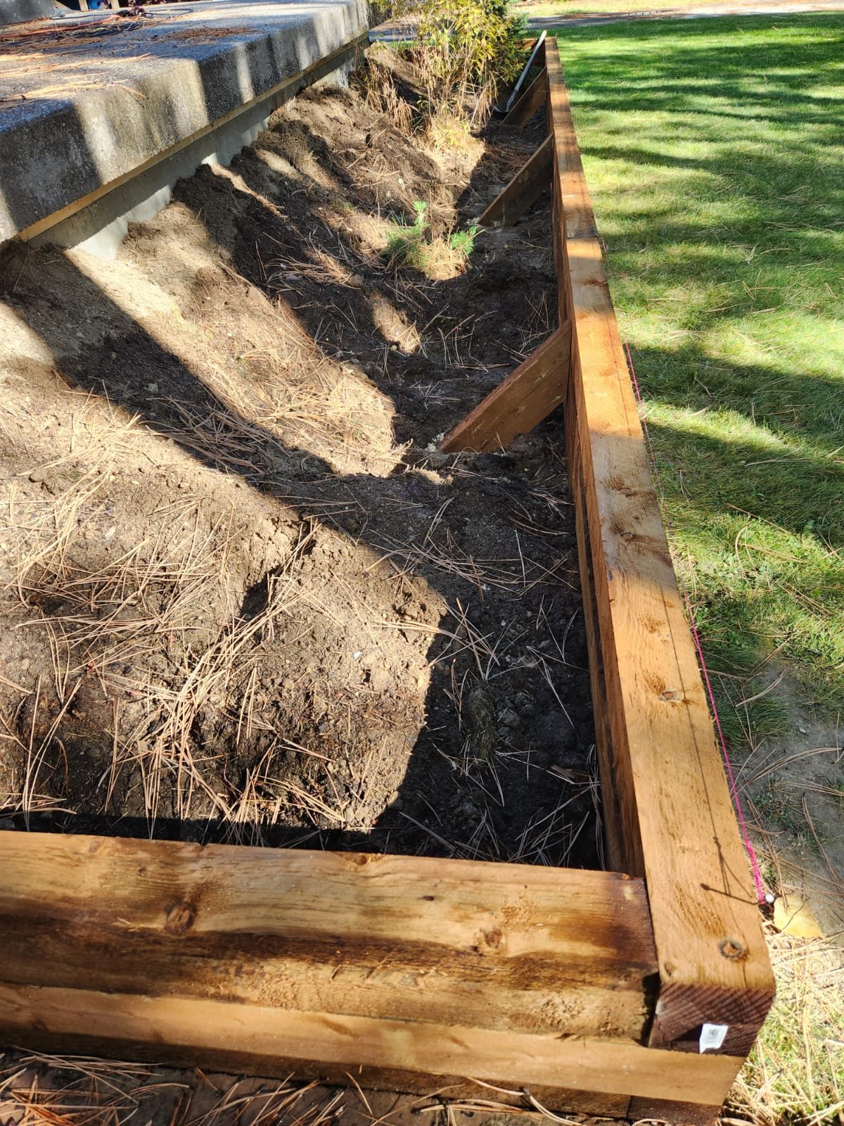 A sandbag garden bed with wooden framing in a grassy yard, with some plants growing in it and shadows cast by nearby trees.