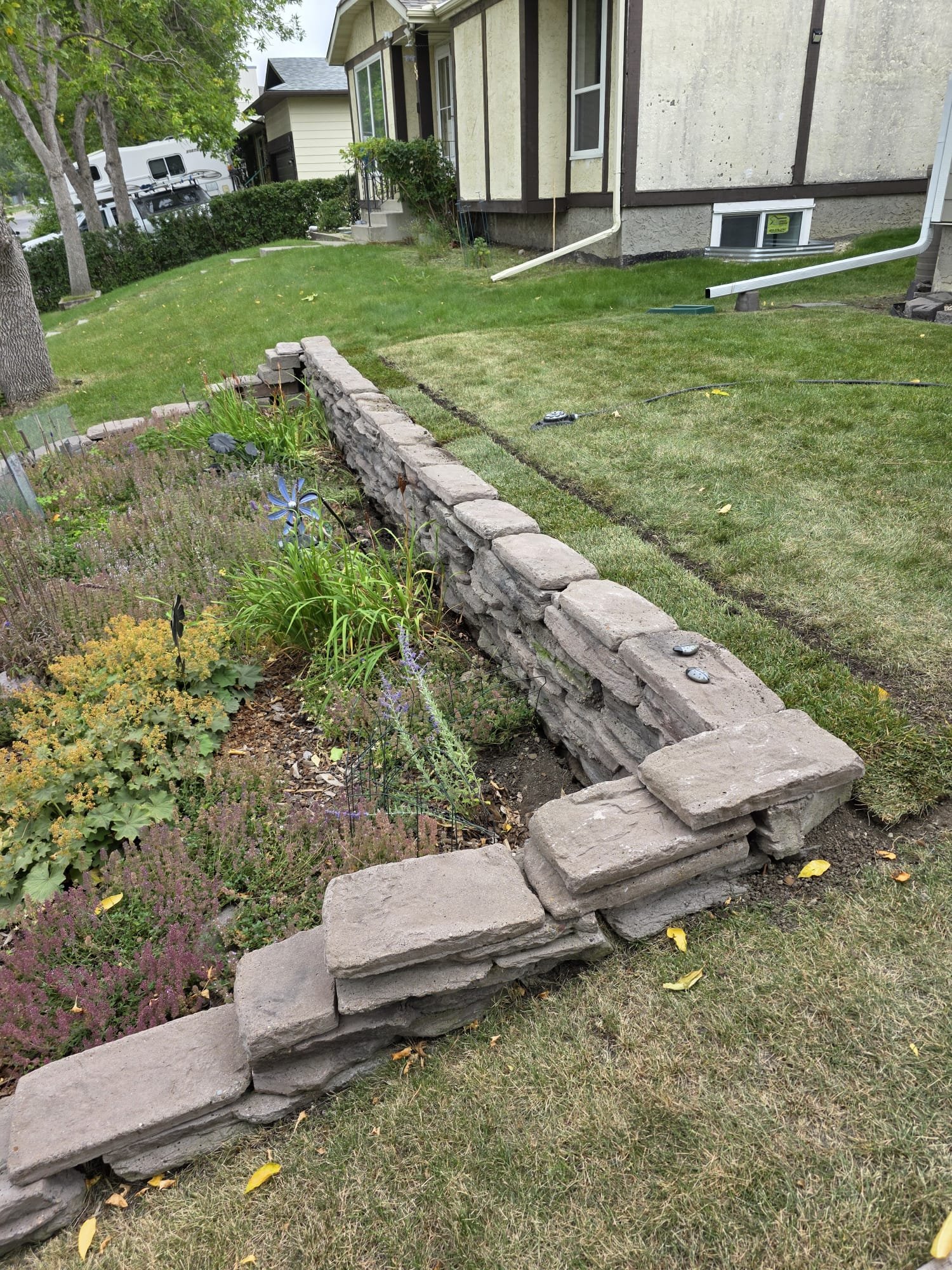 A residential backyard with a partially built stone retaining wall and a grassy lawn. There is a garden with various plants, some trees, and a house with a basement window. Tools and construction materials are visible on the ground.
