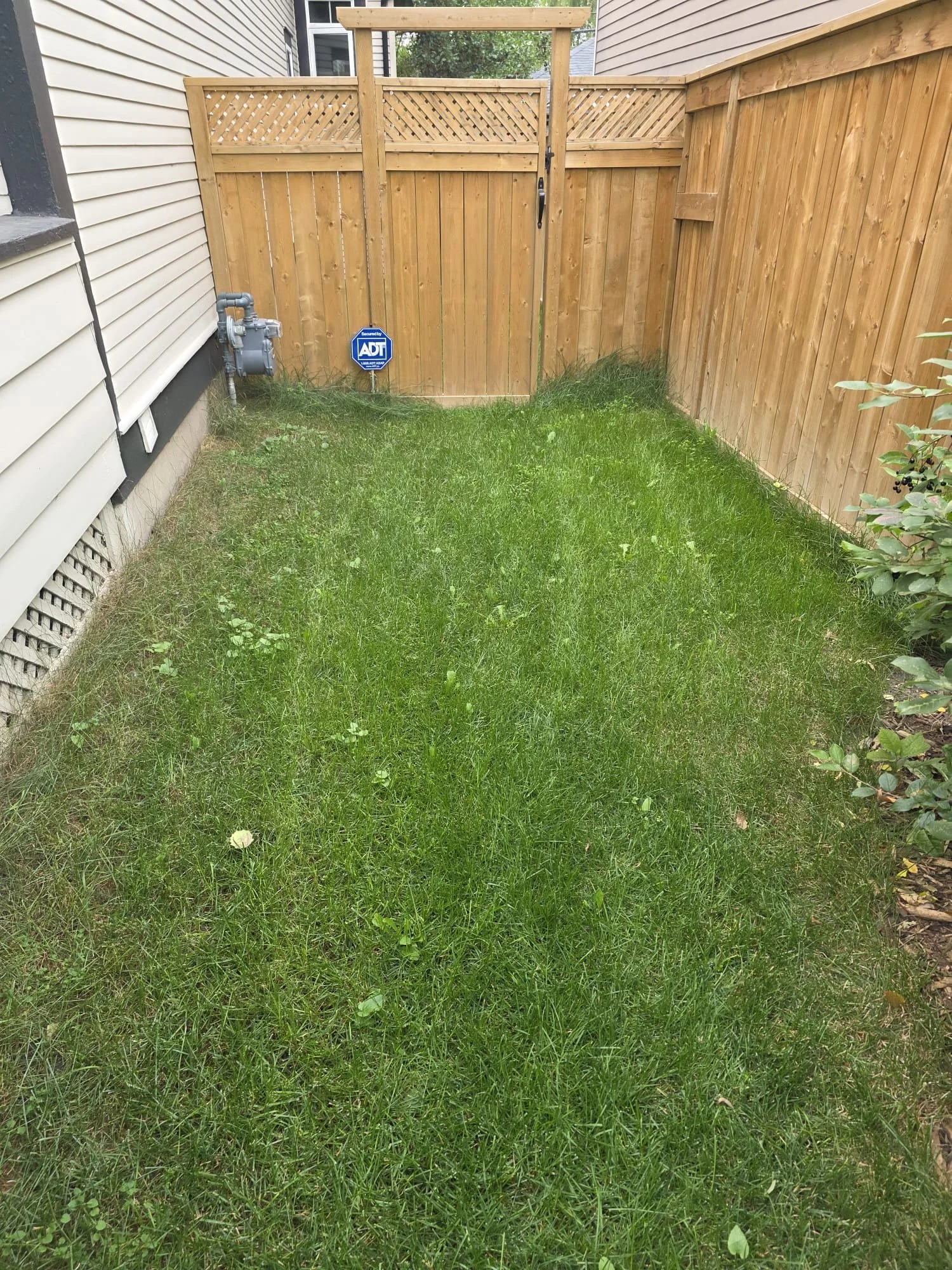 Small backyard with green grass, wooden fence, and a beige house siding on the left, with a security ADT sign in front of the fence.