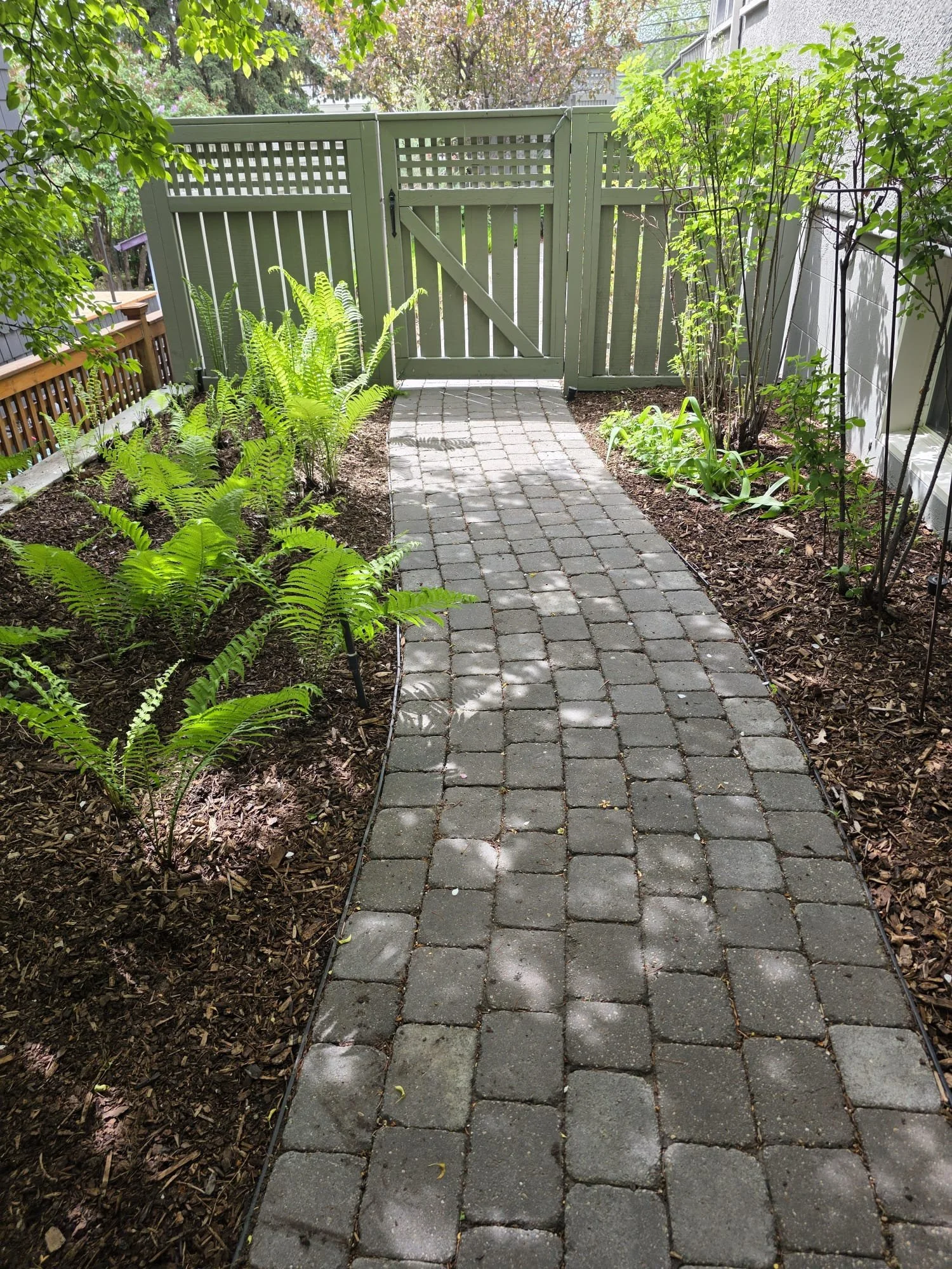 A brick pathway leading to a green wooden gate, with plants and shrubs on both sides, and trees overhead creating dappled sunlight.