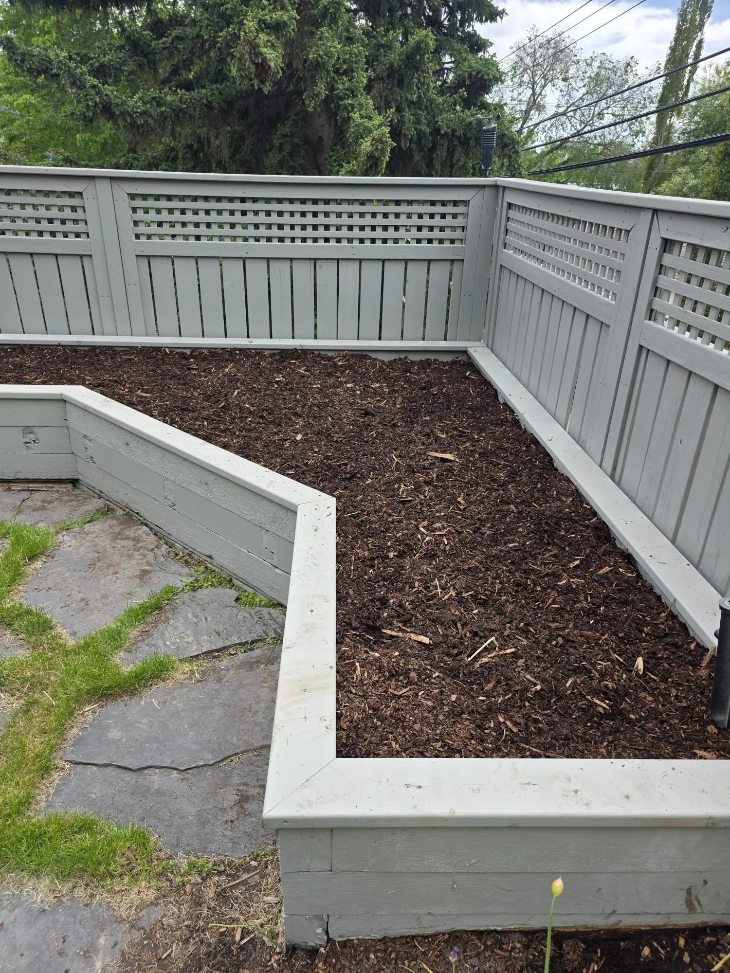 Empty garden bed with white wooden framing and soil inside, surrounded by green grass and trees in the background.