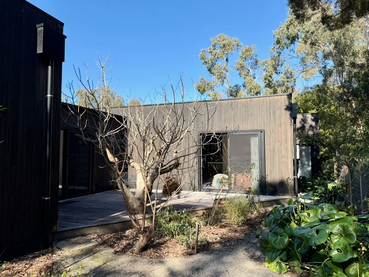Modern house with dark exterior, wooden siding, large glass sliding door, surrounded by trees, plants, and a deck, under a blue sky.