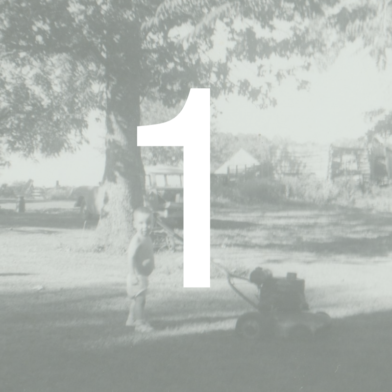 A young boy standing next to a lawn mower under a large tree in a grassy yard, with a fence and houses in the background, overlaid with a large white number 1.