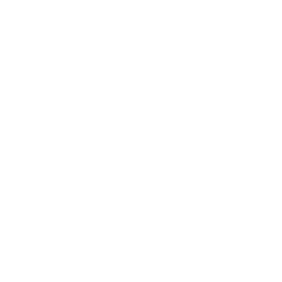 White key icon on black background