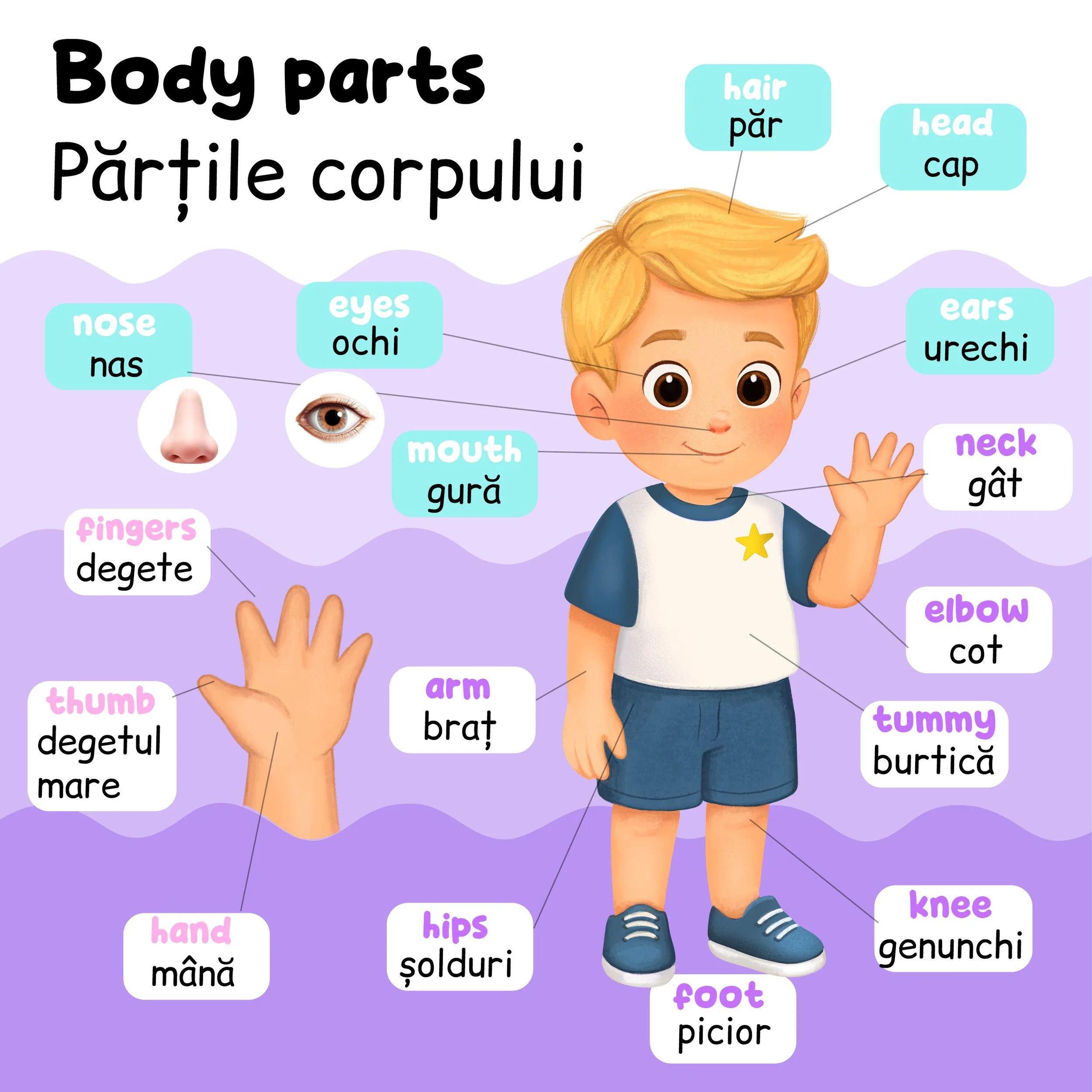 Educational illustration of a child's body parts labeled in English and Romanian, featuring a cartoon boy with blonde hair, blue eyes, wearing a white T-shirt with a yellow star, navy blue shorts, and sneakers, against a purple background with clouds