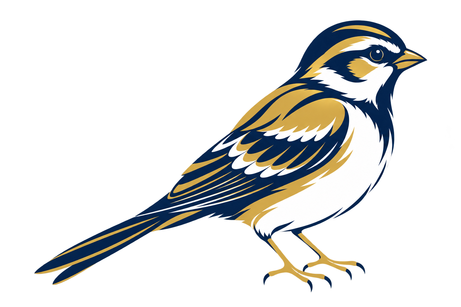 Digital illustration of a bird with navy blue, white, and gold feathers, standing on a branch.