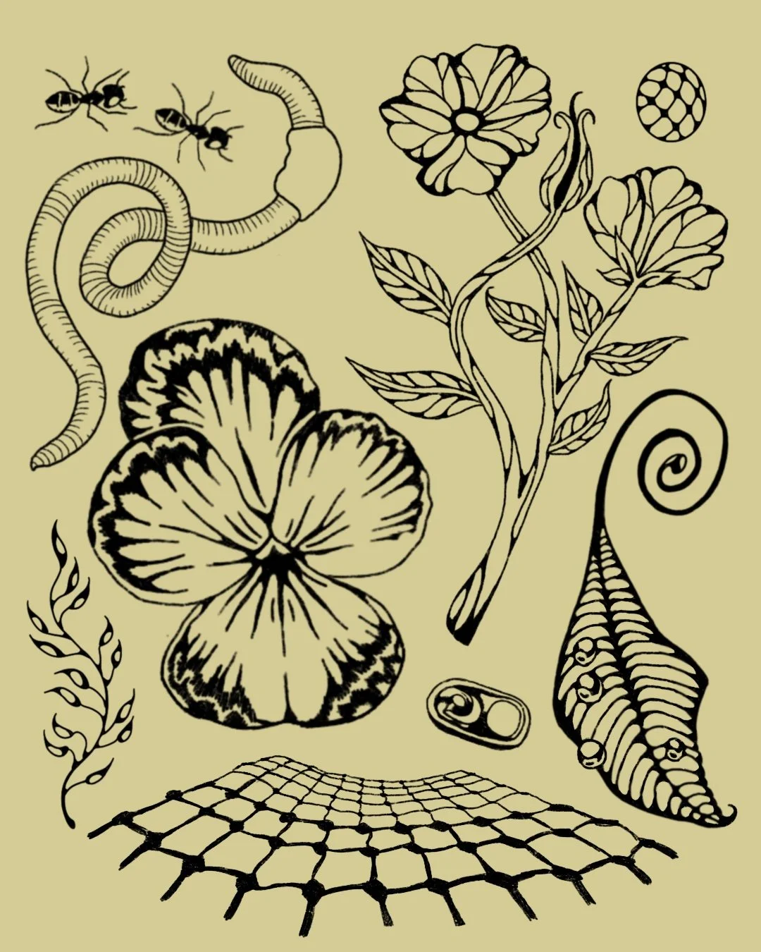 Black and white illustration of a plant with flowers and leaves, a caterpillar, an ant, a mushroom, a shell, a seed, and a net pattern on a light background.