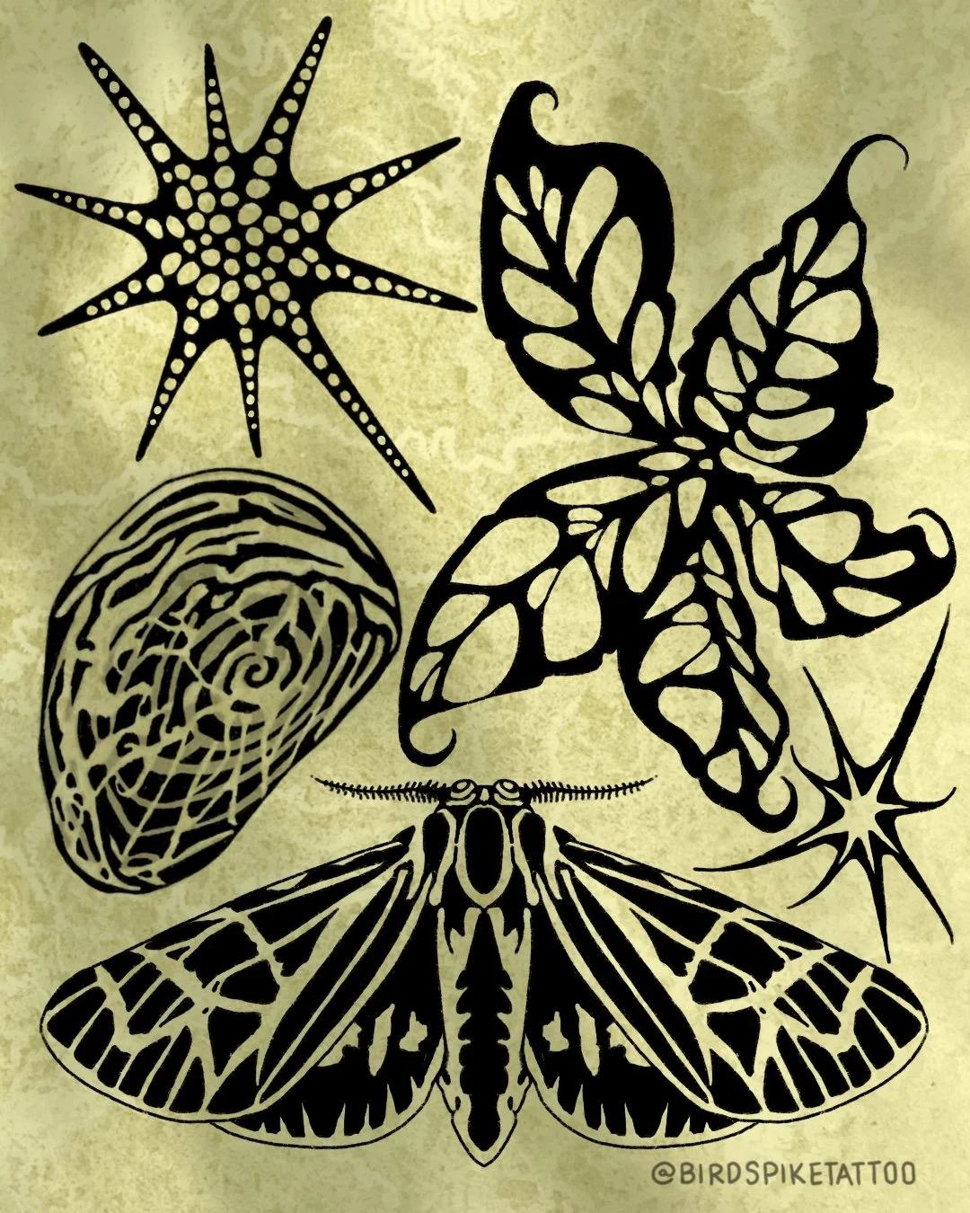 Silhouette tattoo designs of various insects and a star on a yellow background, including a starfish, butterfly, moth, and a spiral shell, with '@BIRDSPIKETATTOO' text at the bottom right.