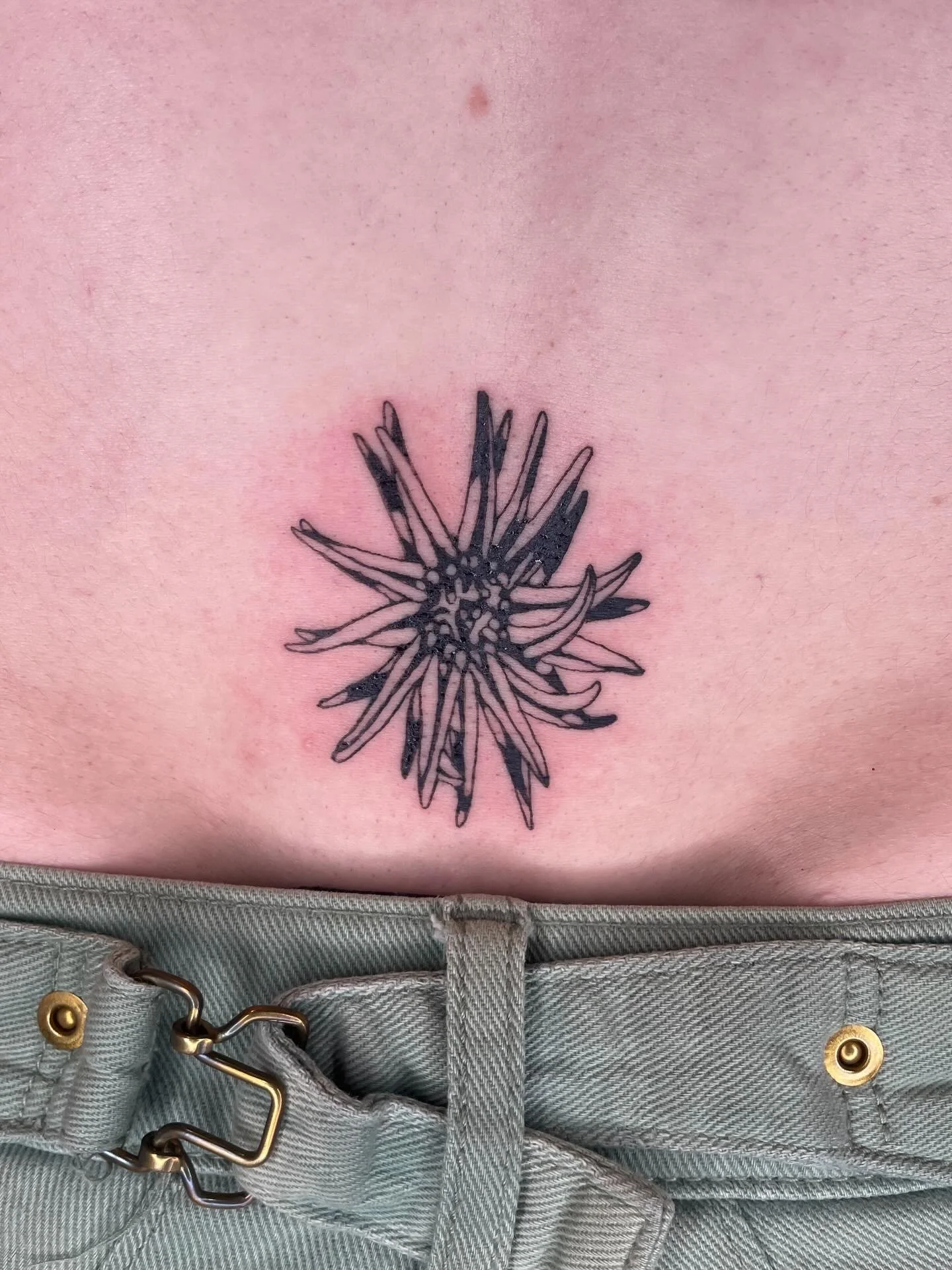 A tattoo of a spiky flower on someone's lower abdomen above the waistband of grey jeans.