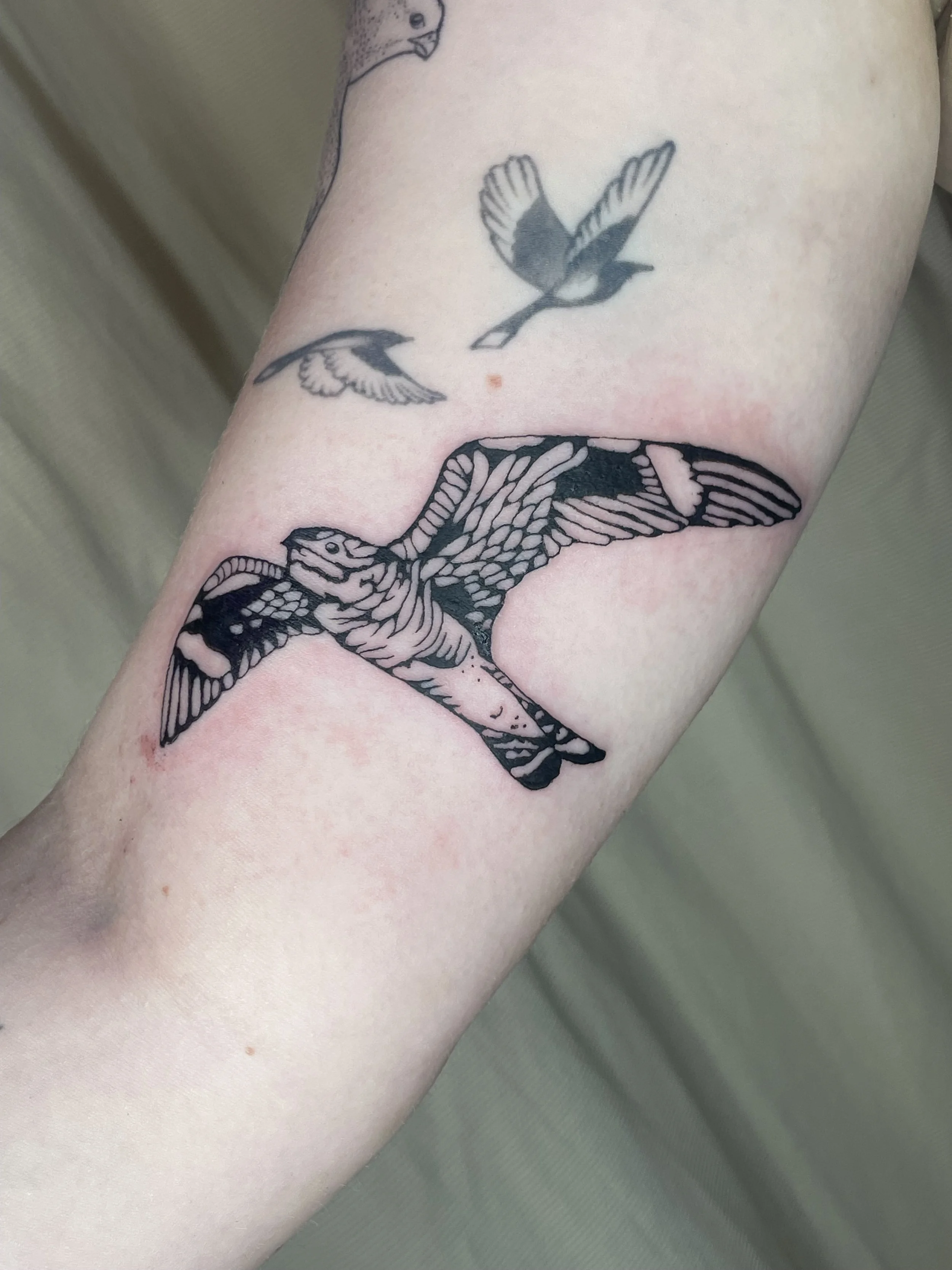 Tattoo of a large bird in flight on a person's arm, with two smaller birds nearby.