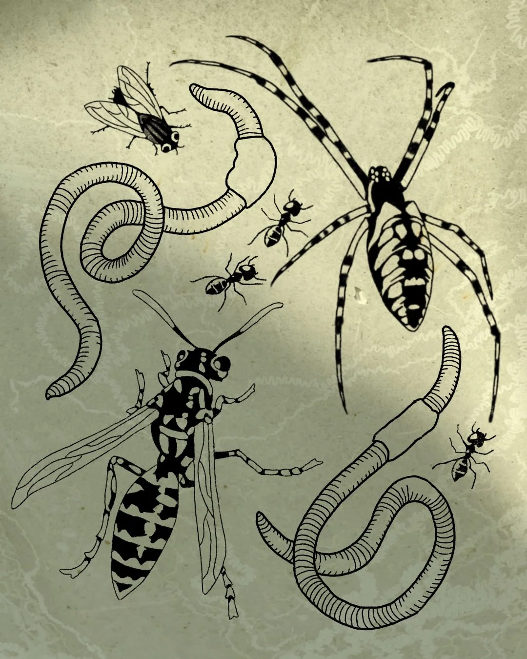Black and white illustration of various insects, including a spider, two wasps, two ants, a mosquito, a fly, a caterpillar, and a maggot, on a textured beige background.