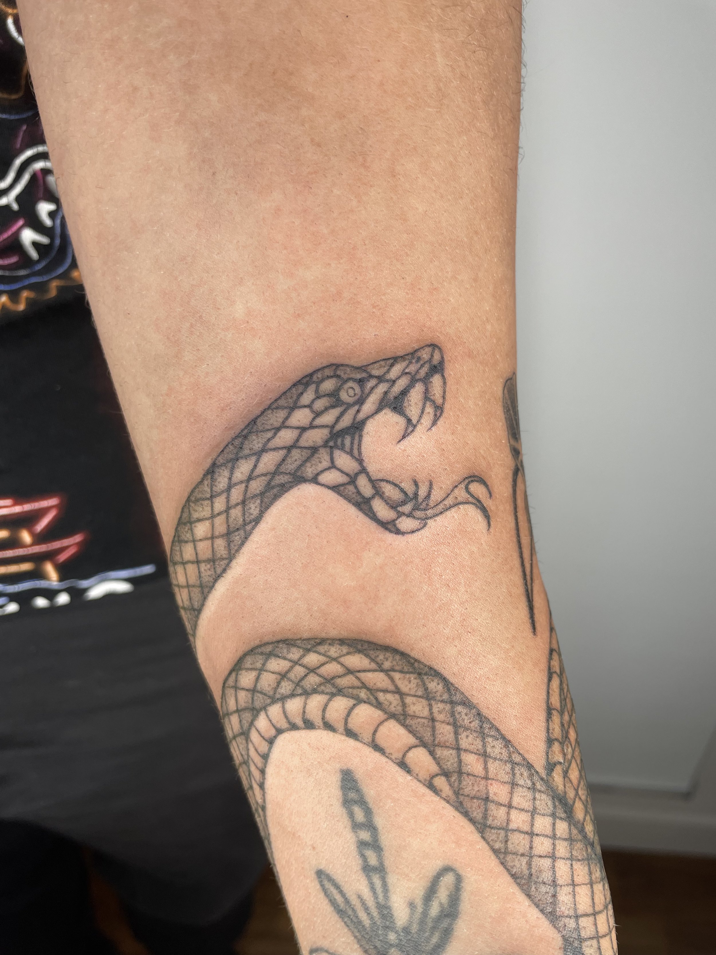 Close-up of a person's arm with a snake tattoo and other smaller tattoos visible.
