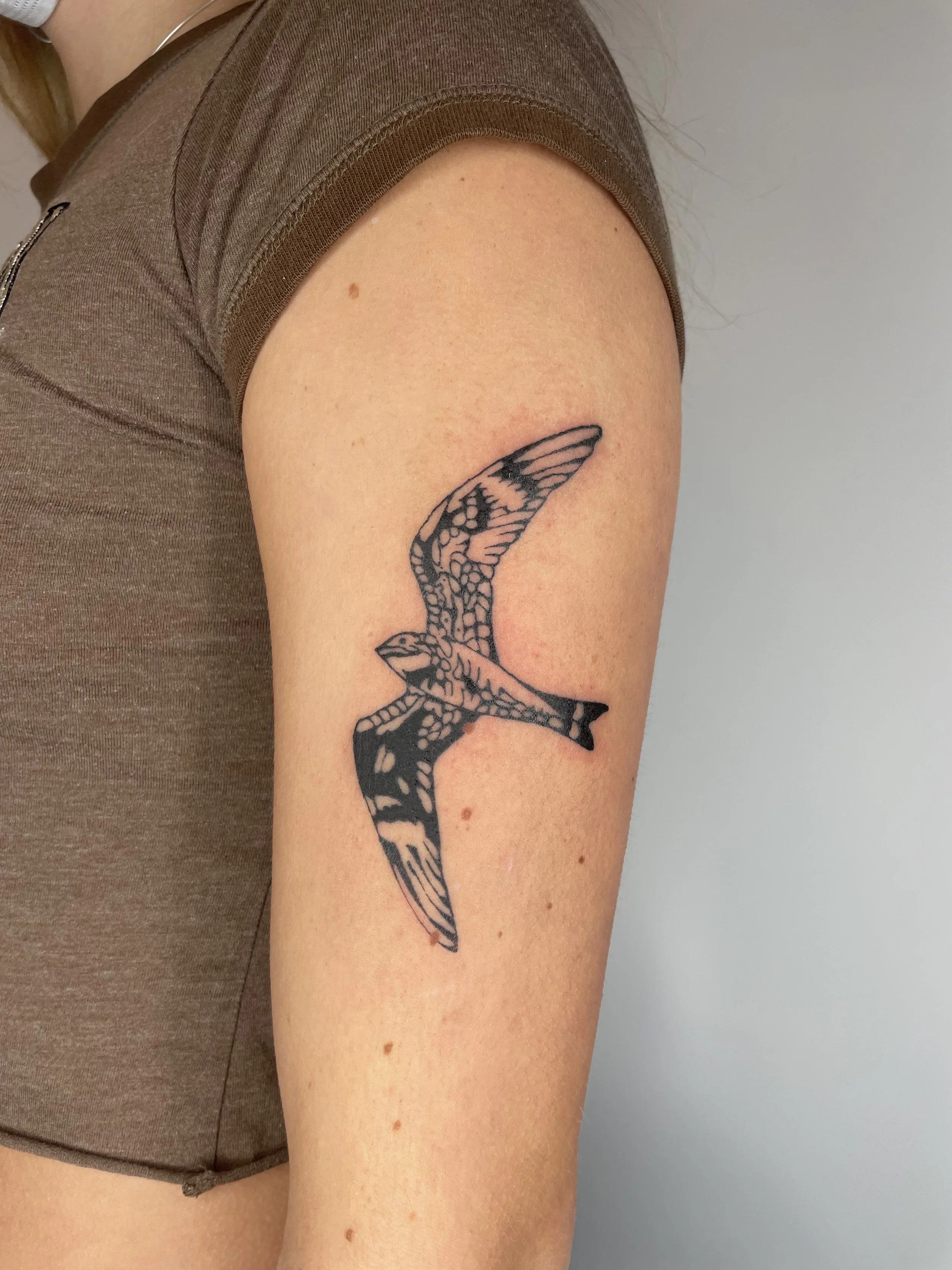 Close-up of a person's upper arm and shoulder, showing a tattoo of a stylized bird in flight on the upper arm, with a partial view of a brown T-shirt.