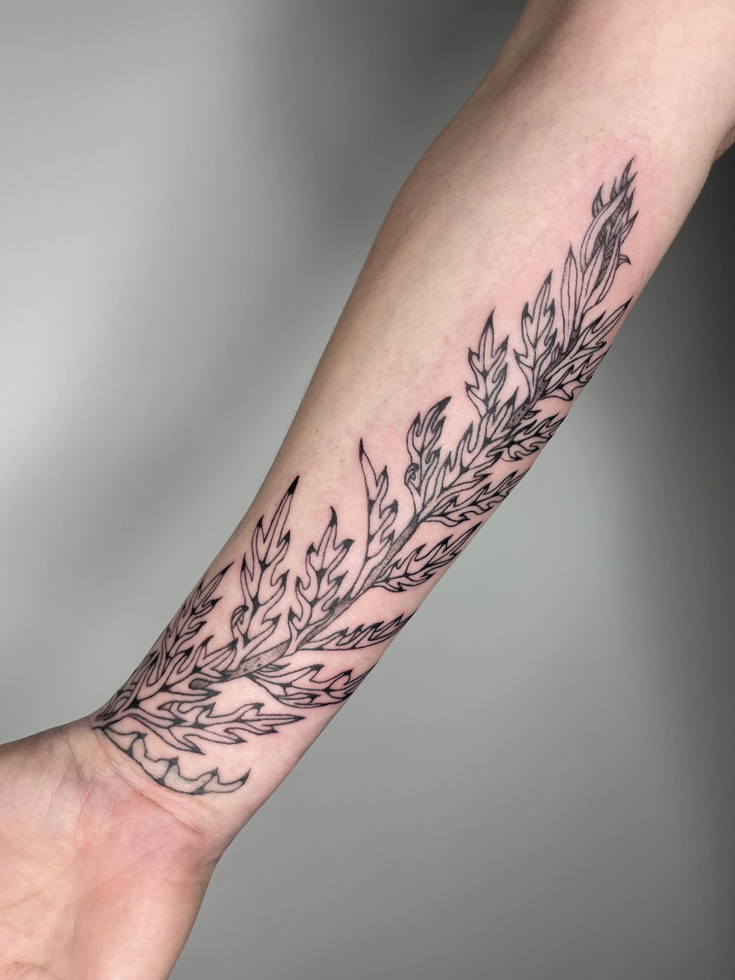 Close-up of a person's arm with a black line art tattoo of a leafy branch extending from the wrist to the elbow, against a plain gray background. mugwort.
