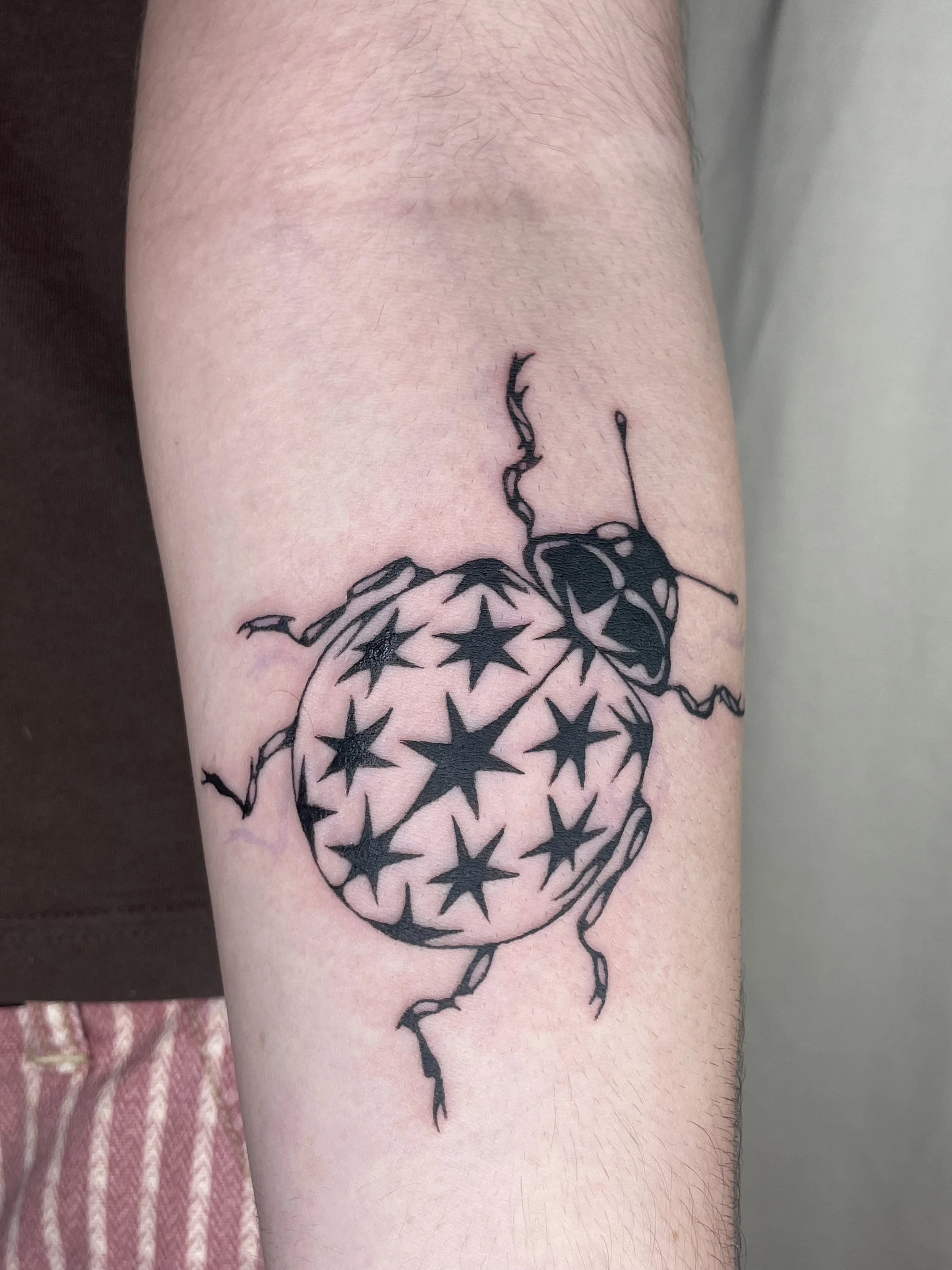 Tattoo of a ladybug with stars on its body on a person's upper arm.
