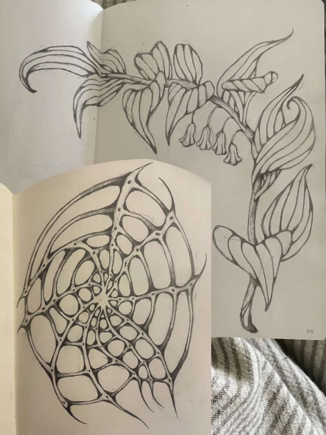 Sketch of a branching plant with striped leaves and hanging bell-shaped flowers in the background. An intricate, detailed drawing of a spider web is also visible in the foreground.