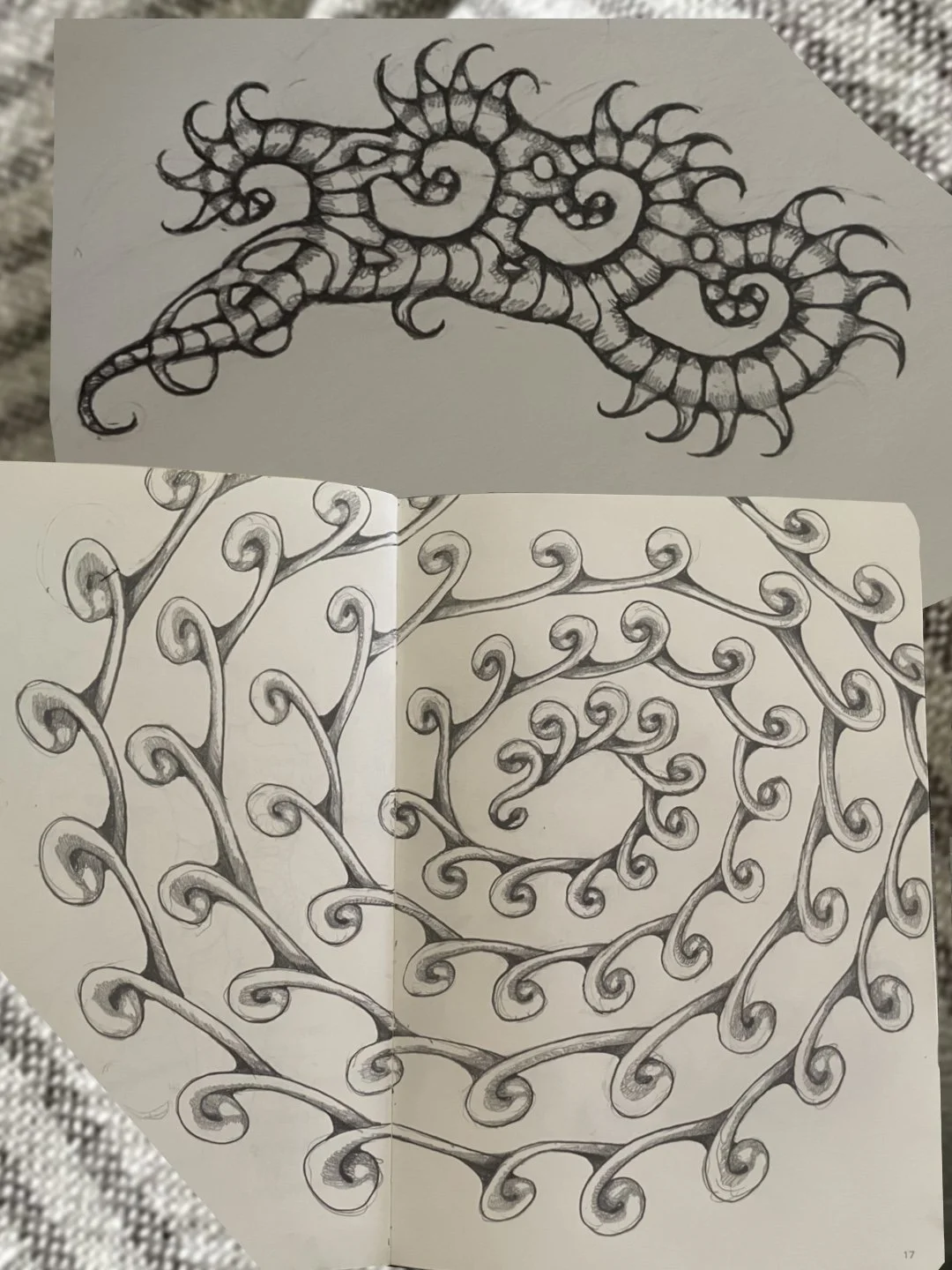 Black and white drawings of spirals and swirling tendrils, intricate and decorative in style.