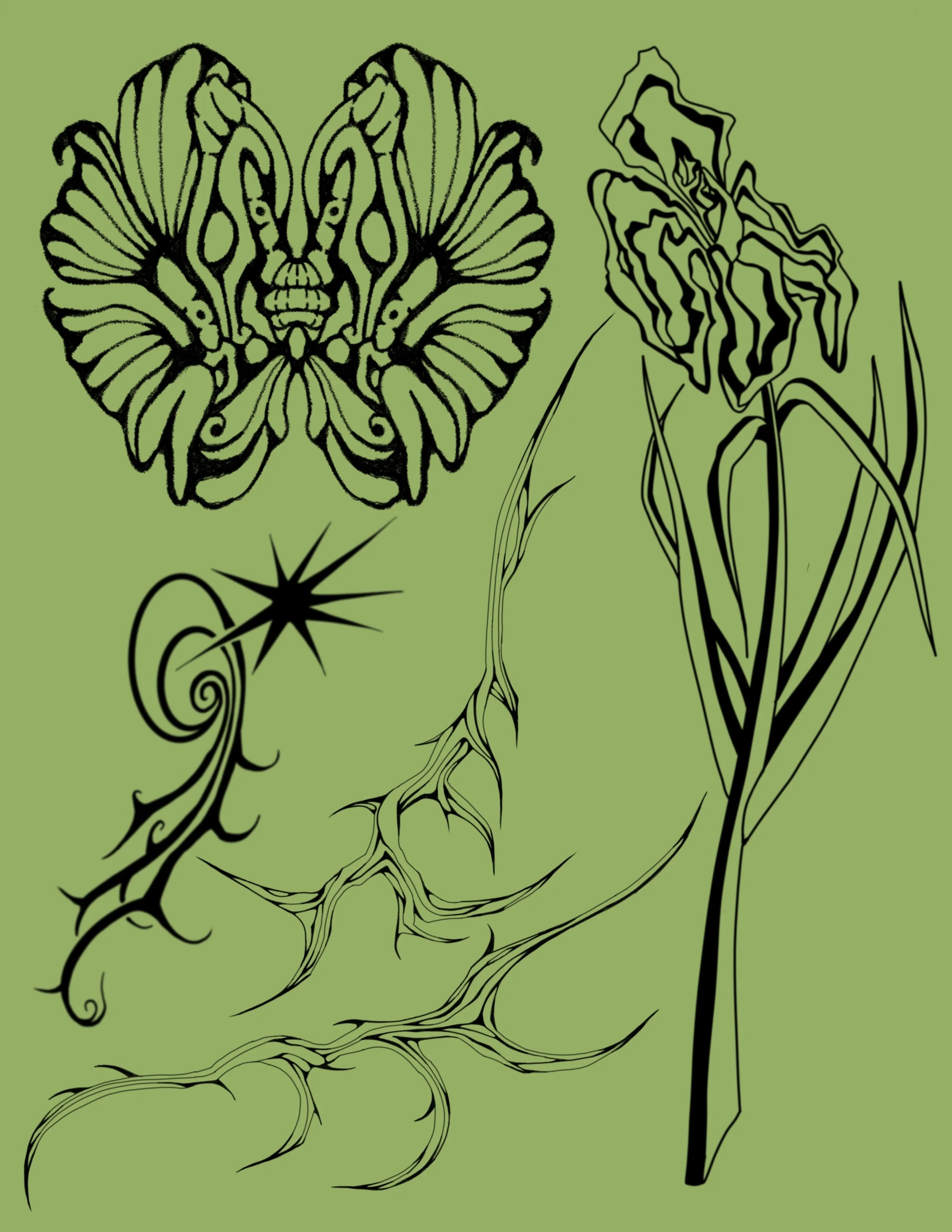 Black outline drawing of a butterfly, a spider, and a flower on a green background.
