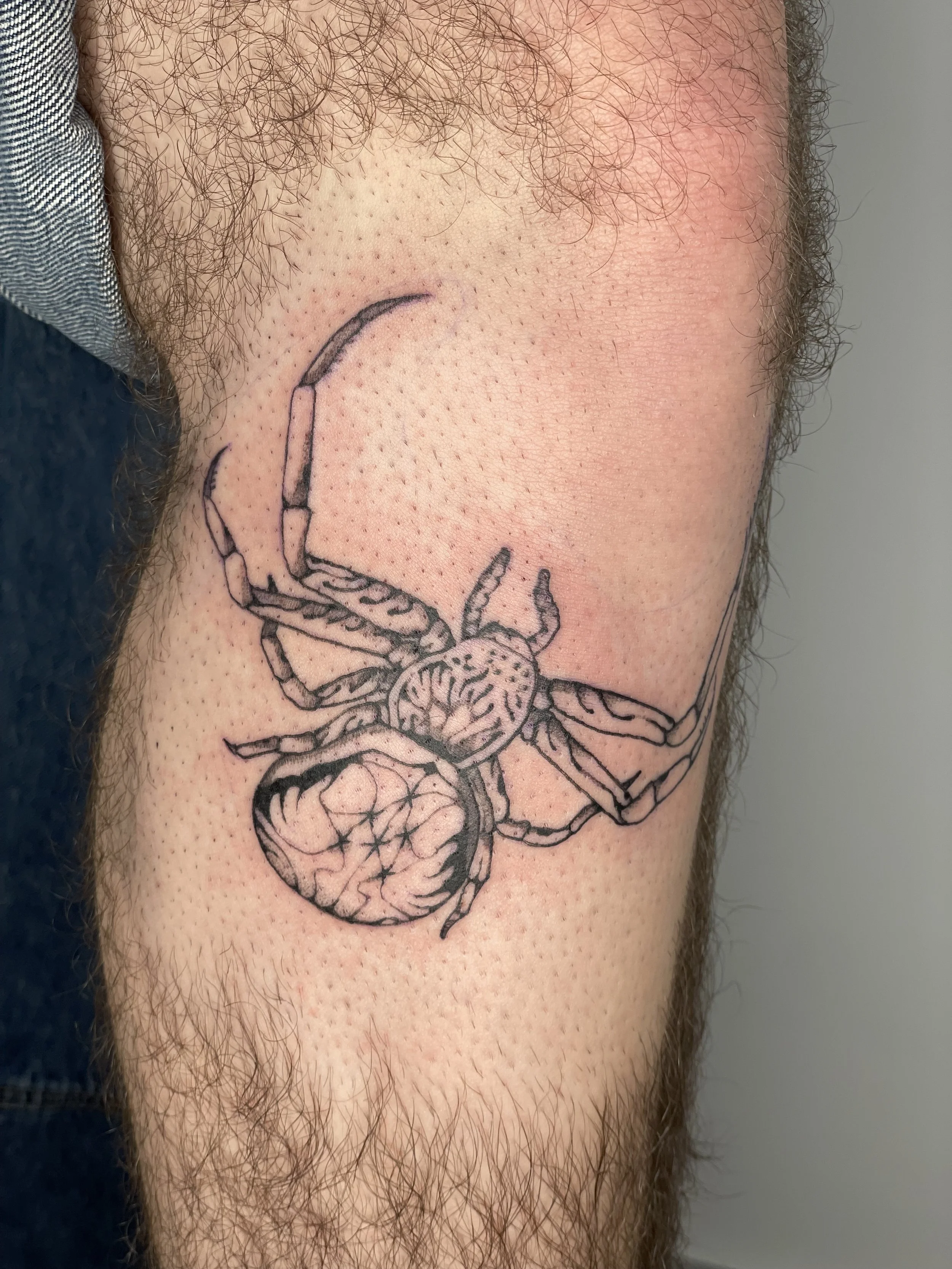 A tattoo of a spider on a person's upper leg.