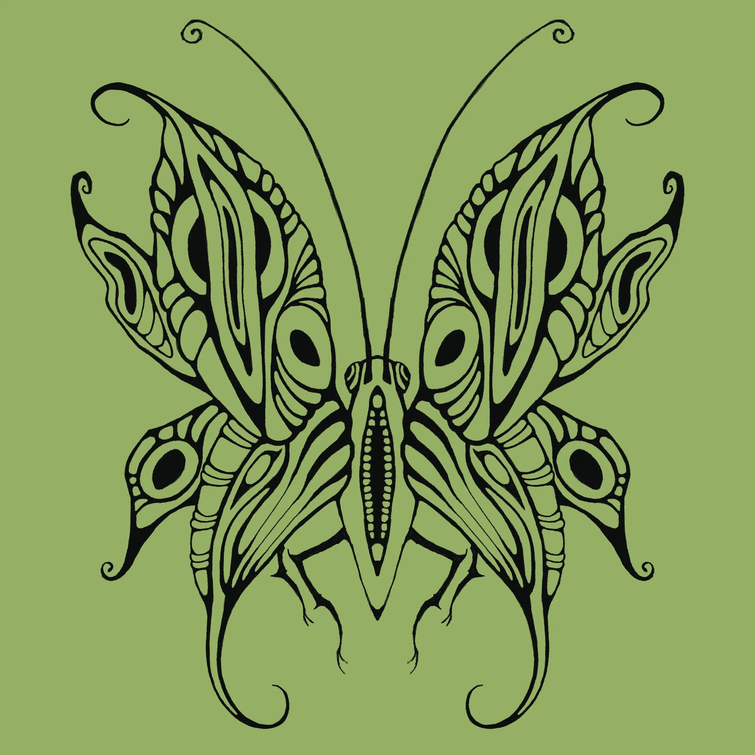 A black outline of a butterfly with intricate patterns on its wings, set against a light green background.