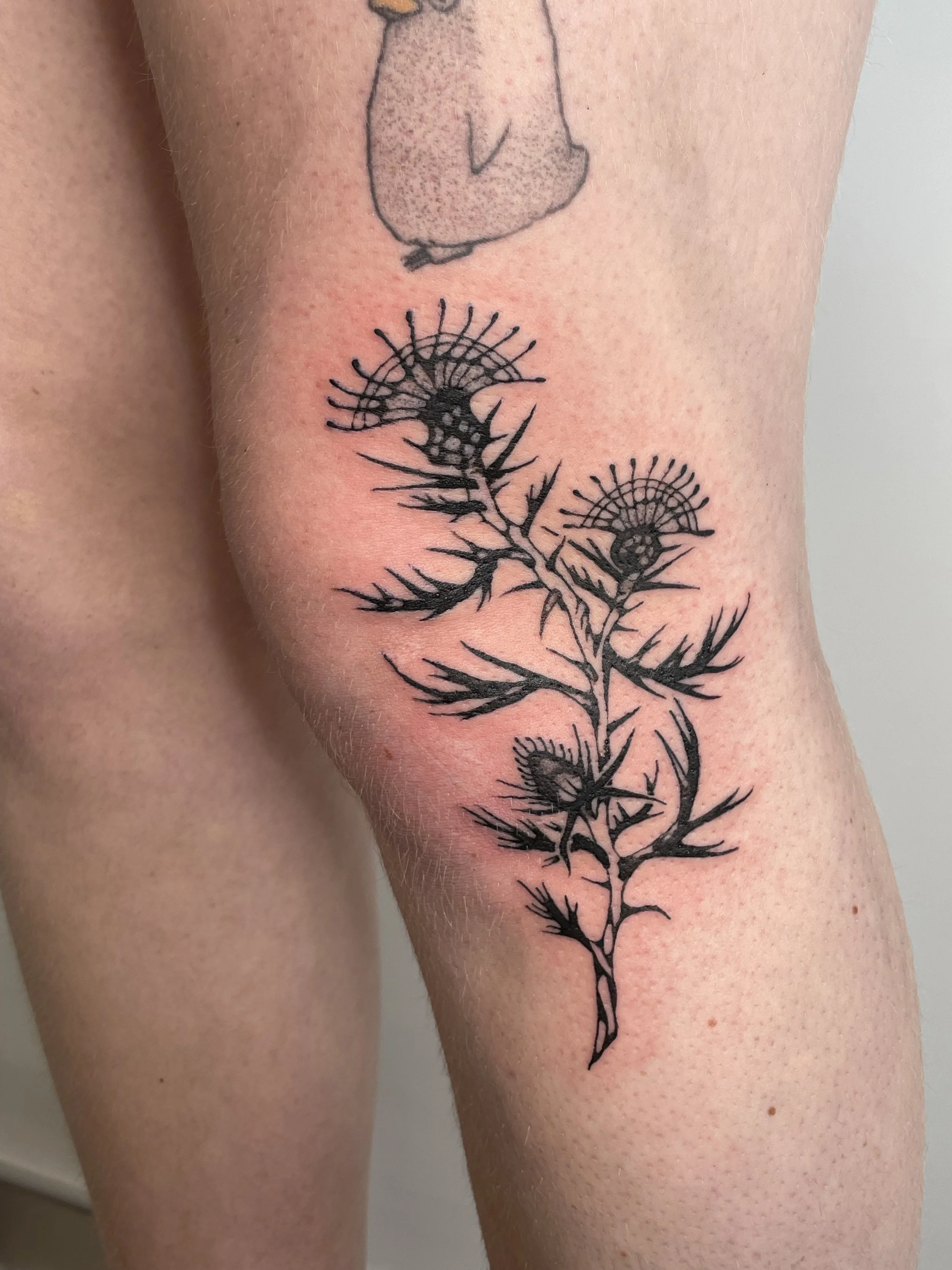 Tattoo of a thistle plant with detailed flowers and spiky leaves on a person's arm.