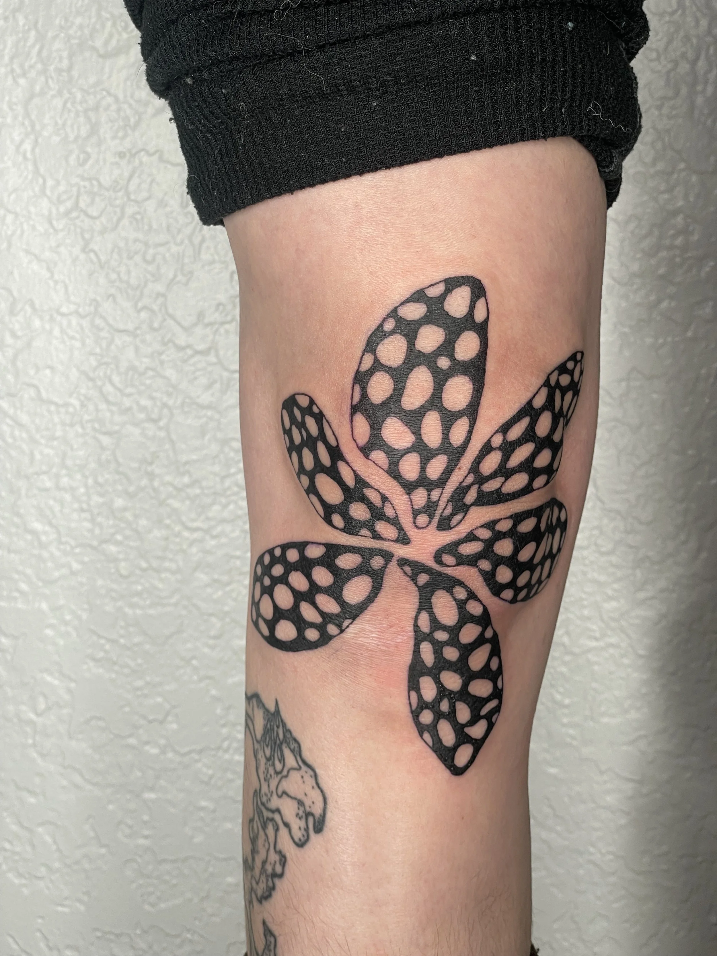 A tattoo of a butterfly with black and pink coloration on a person's thigh, with part of the person's black shorts visible at the top of the image.