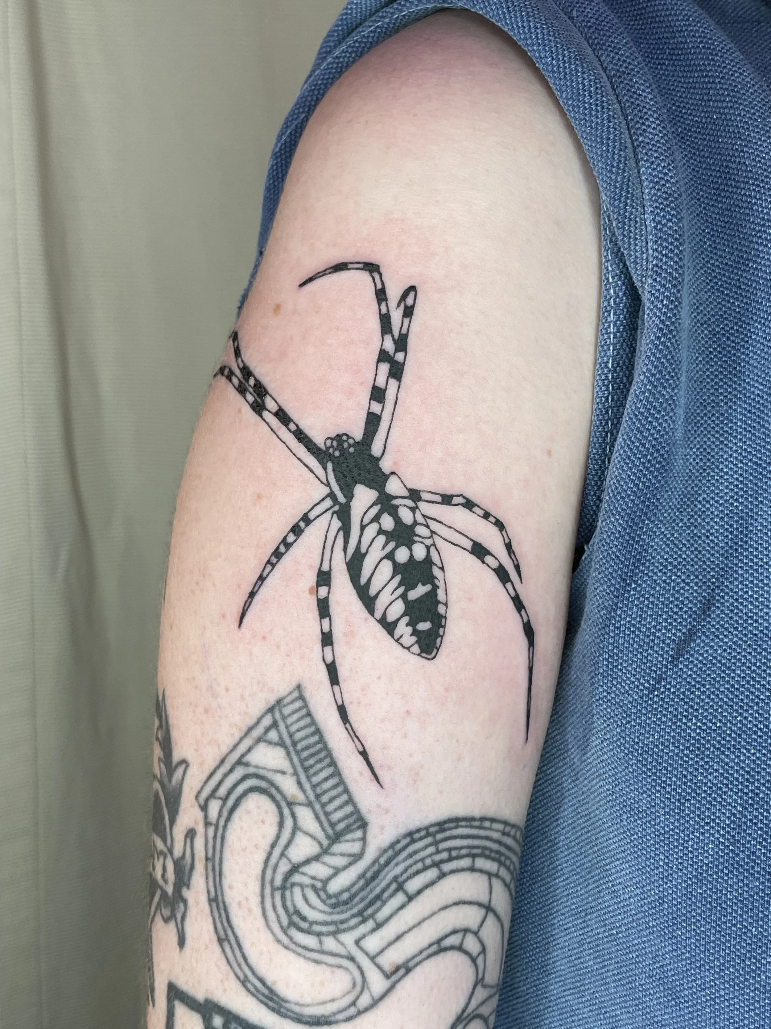 A close-up of a person's upper arm and shoulder with a tattoo of a spider hanging from a web, with part of another design visible below.