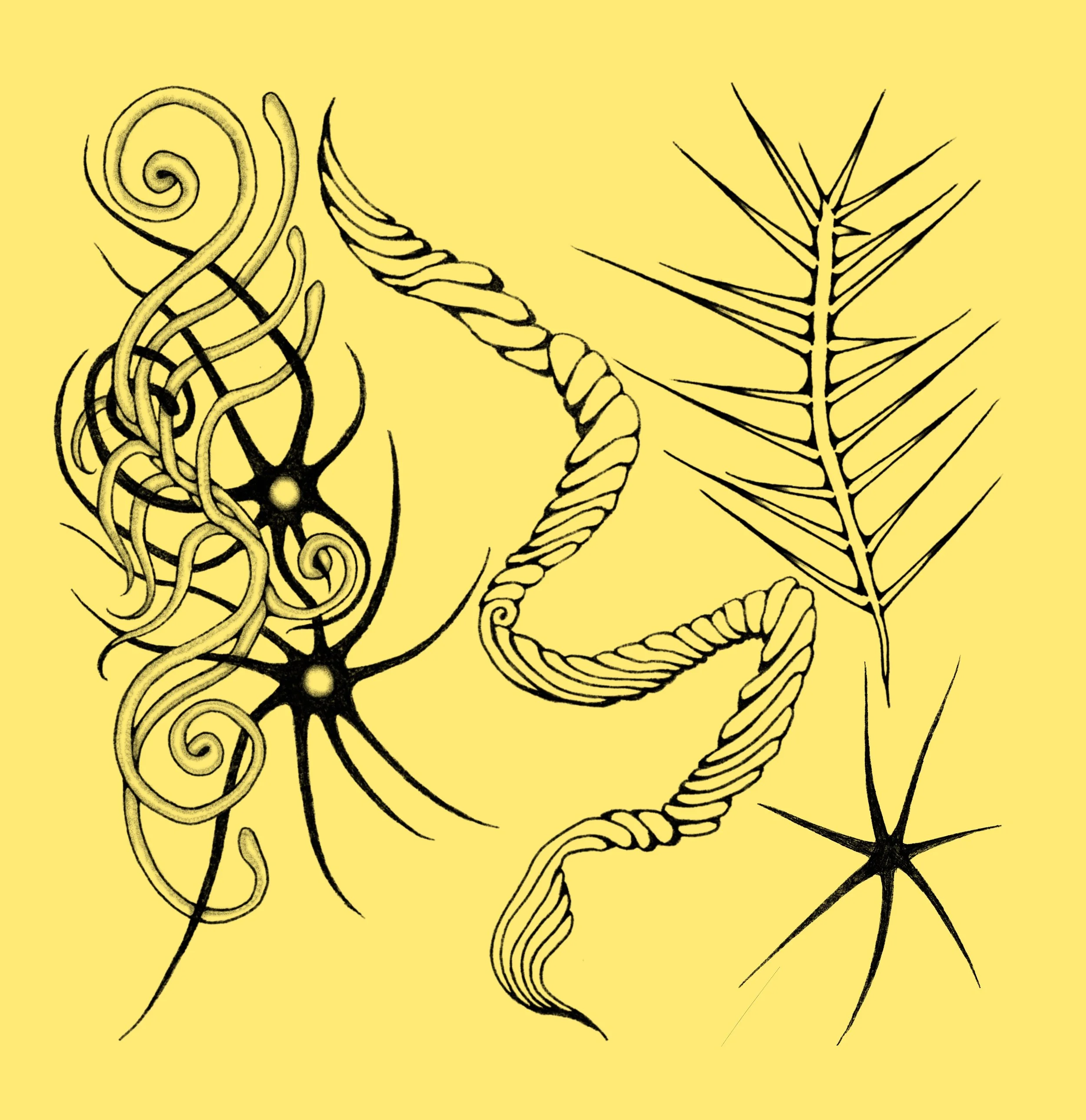 Black line drawings of abstract, nature-inspired shapes including a spiral, twisted branch, and leaf-like structure on a yellow background.