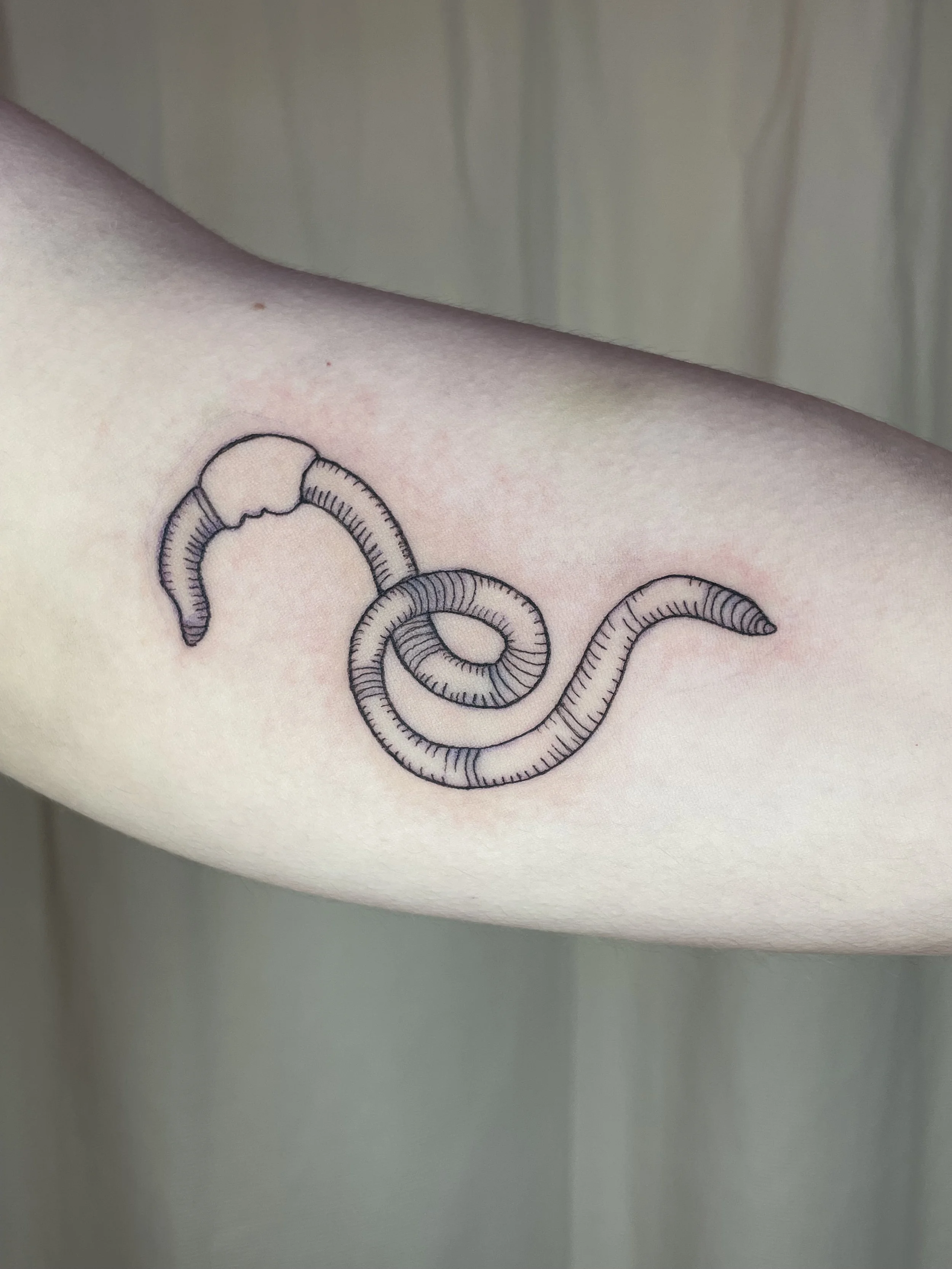Tattoo of a worm on skin with light background.