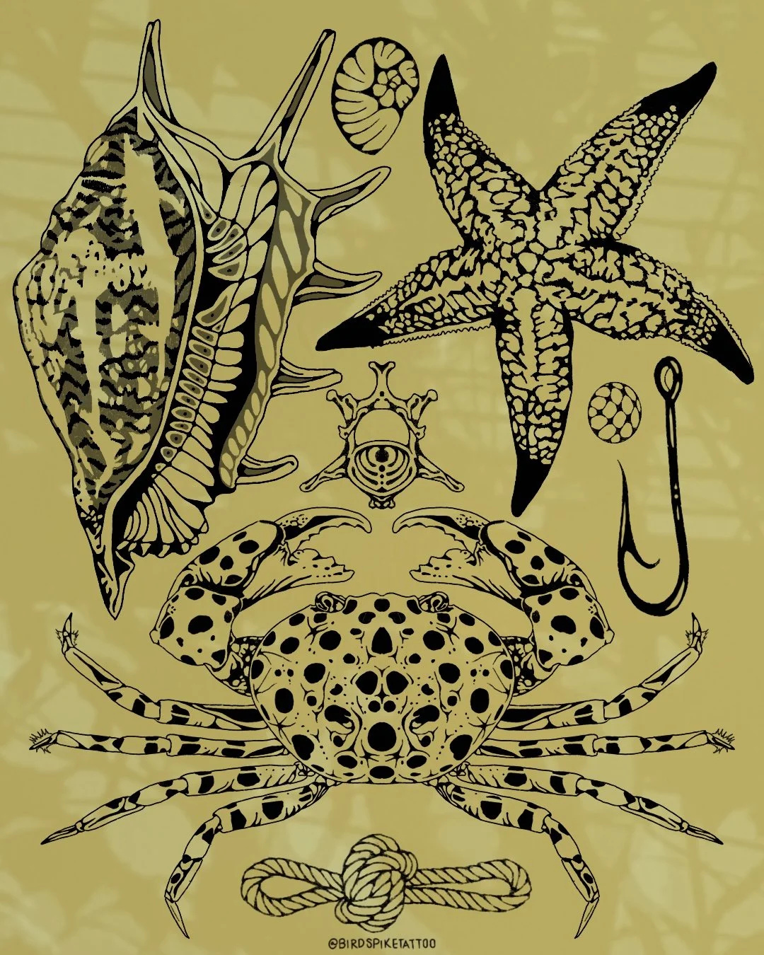 Line art illustration of various marine creatures including a starfish, a crab, a snail, a fish, and a fishing hook on a yellow background.