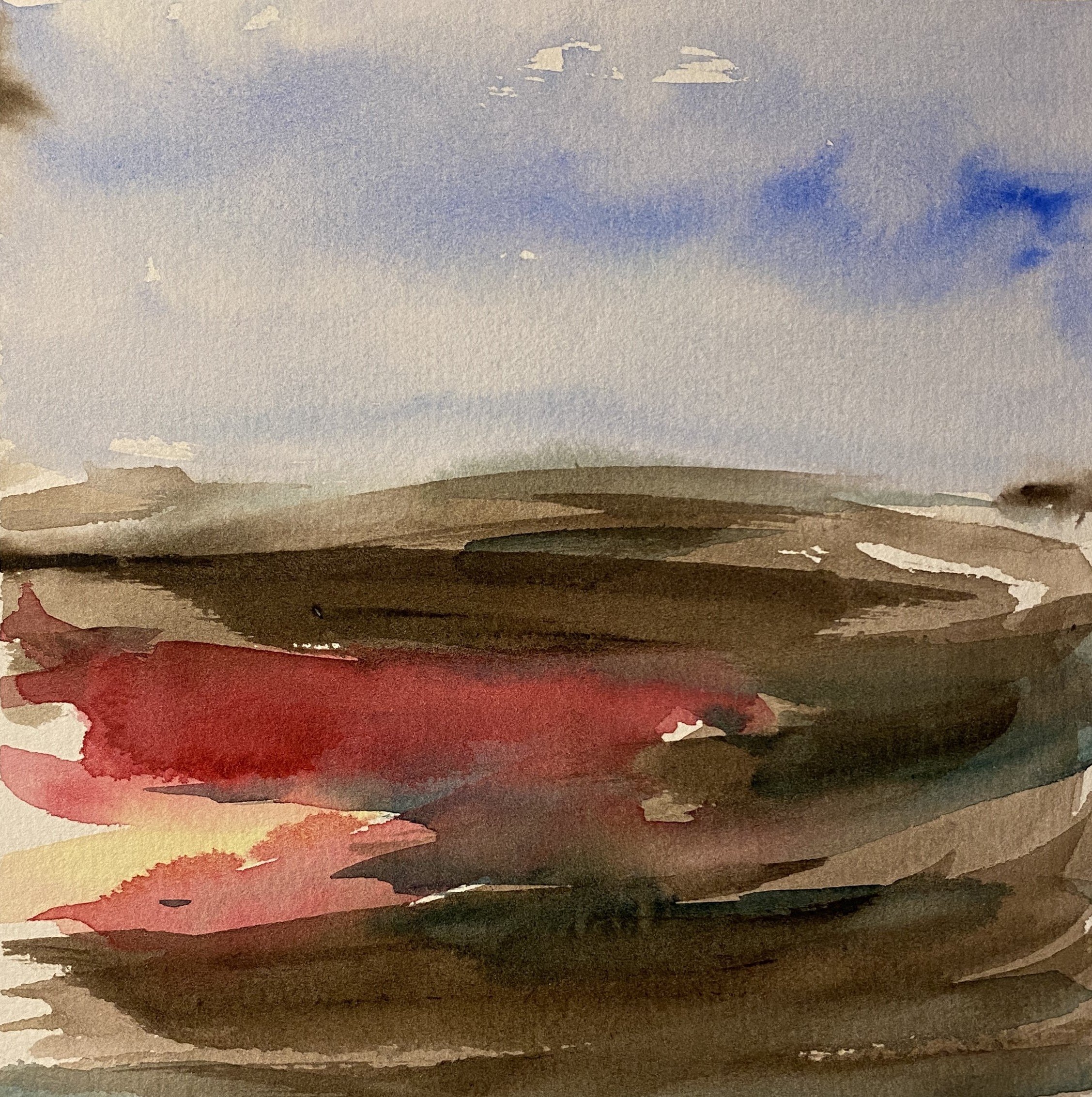 Red Field, watercolor, 11.5" x 11.5", 2024