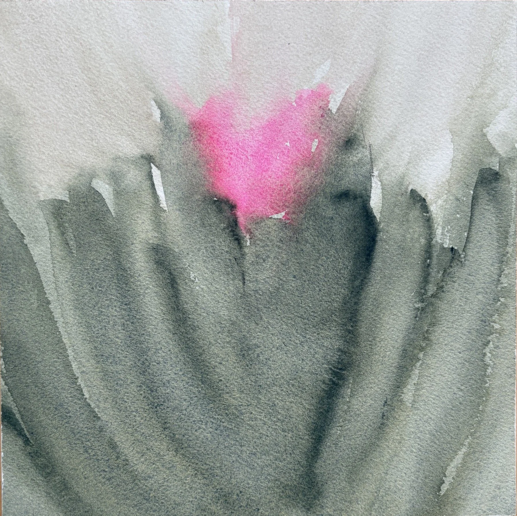 Rosa, watercolor mounted on wood, 8" x 8", 2026 