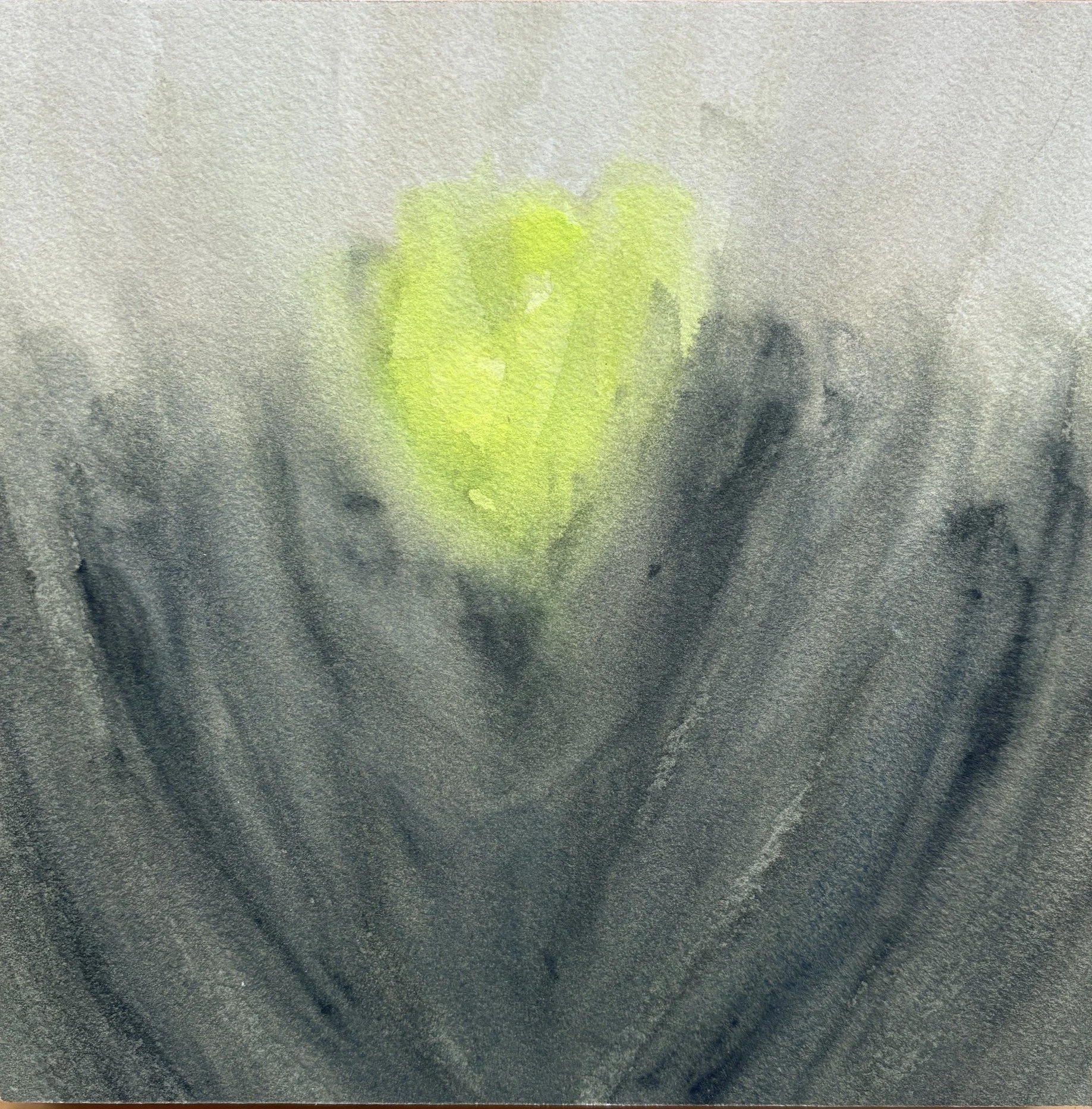 Amarilla, watercolor mounted on wood, 8" x 8", 2026