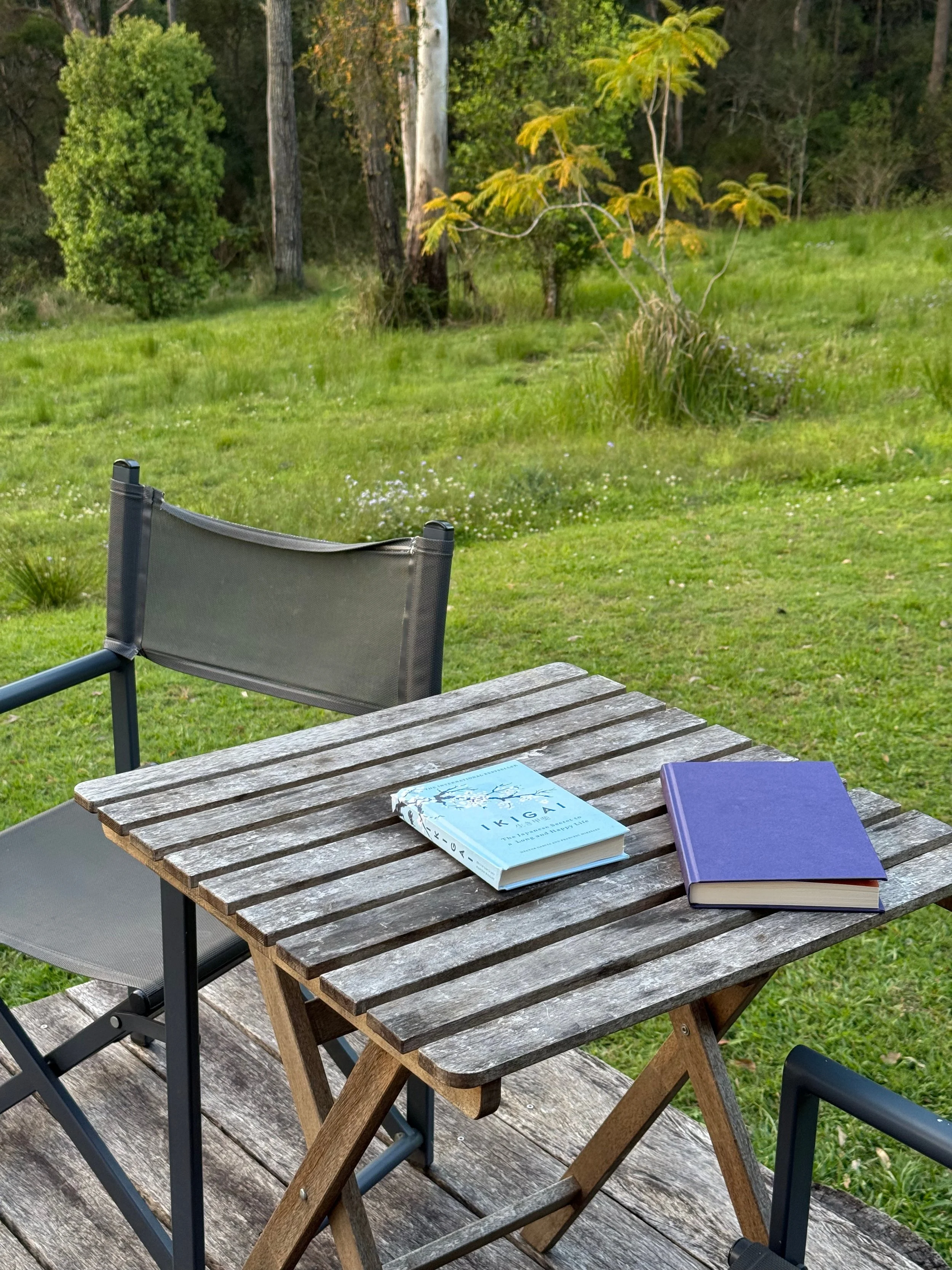 A wooden table with two books on it, one blue and one purple, and a chair behind it. The scene is set outdoors on a grassy area with trees and bushes in the background.