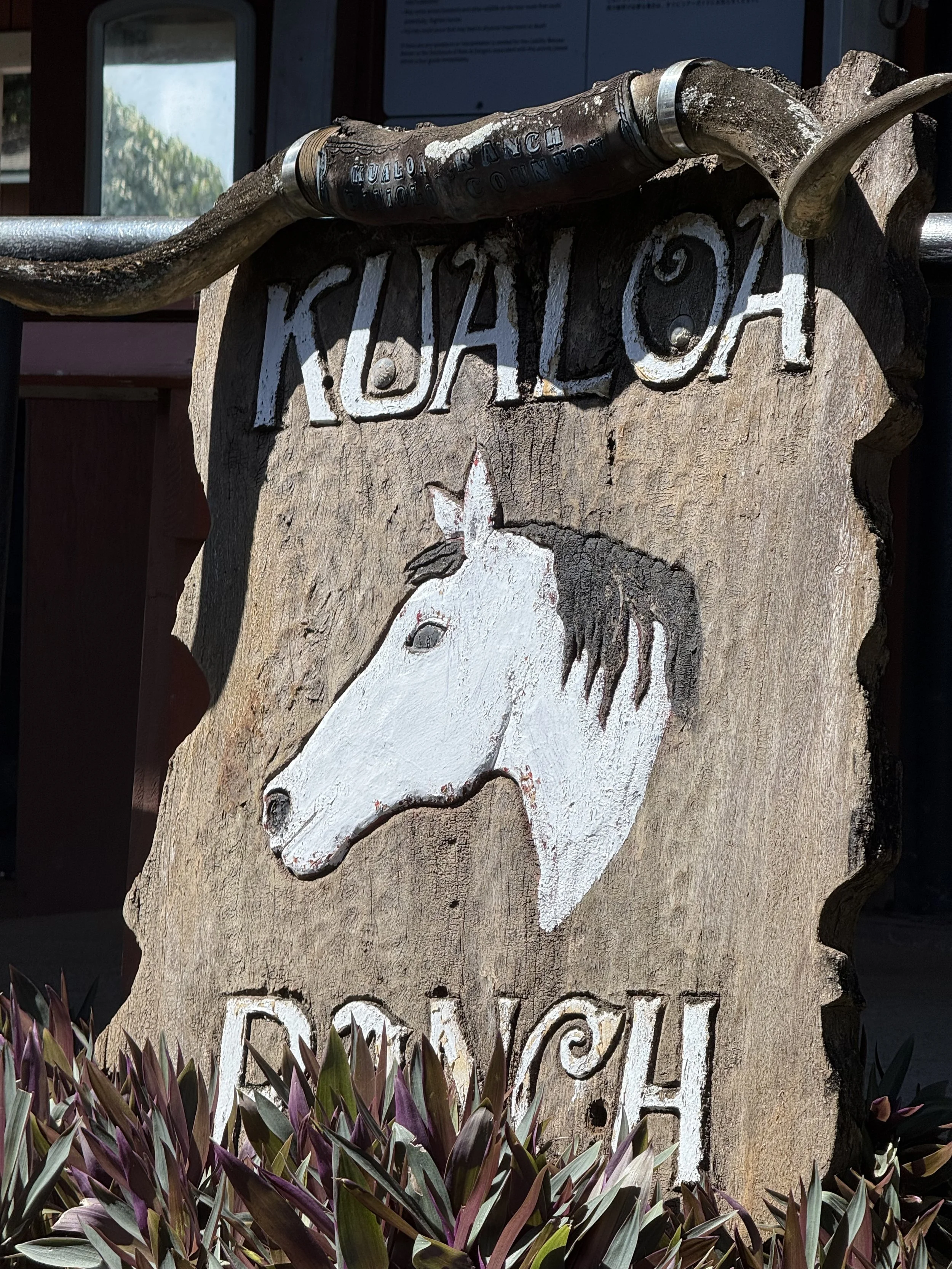 Wooden sign with white carved text reading "KUALI COUNTY" and a carved horse head below, surrounded by purple-tinted green plants. There is a metal pipe with inscriptions on top of the sign.