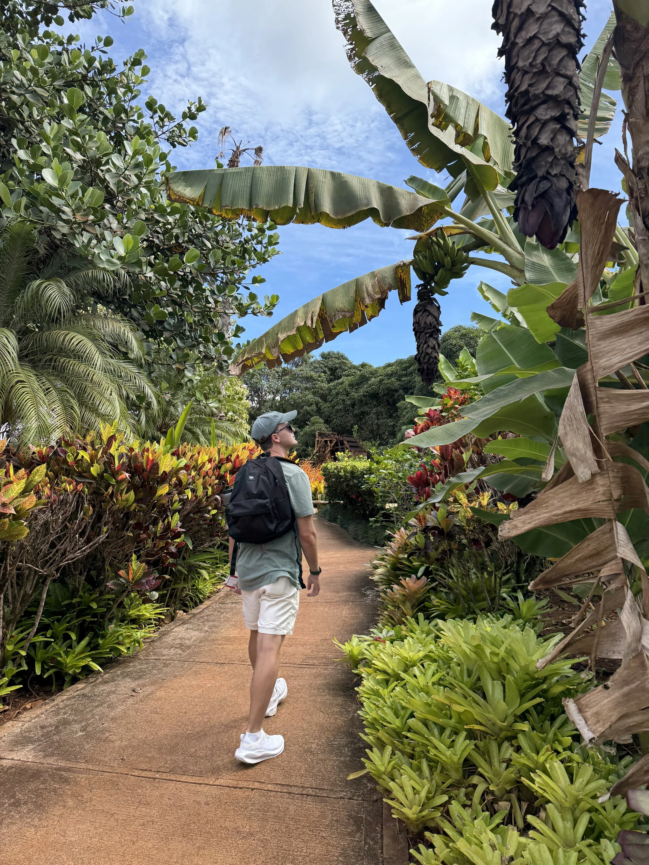 A person with a gray cap, sunglasses, a gray shirt, khaki shorts, and white sneakers walking on a garden pathway surrounded by lush green tropical plants and banana trees with a partly cloudy sky overhead.