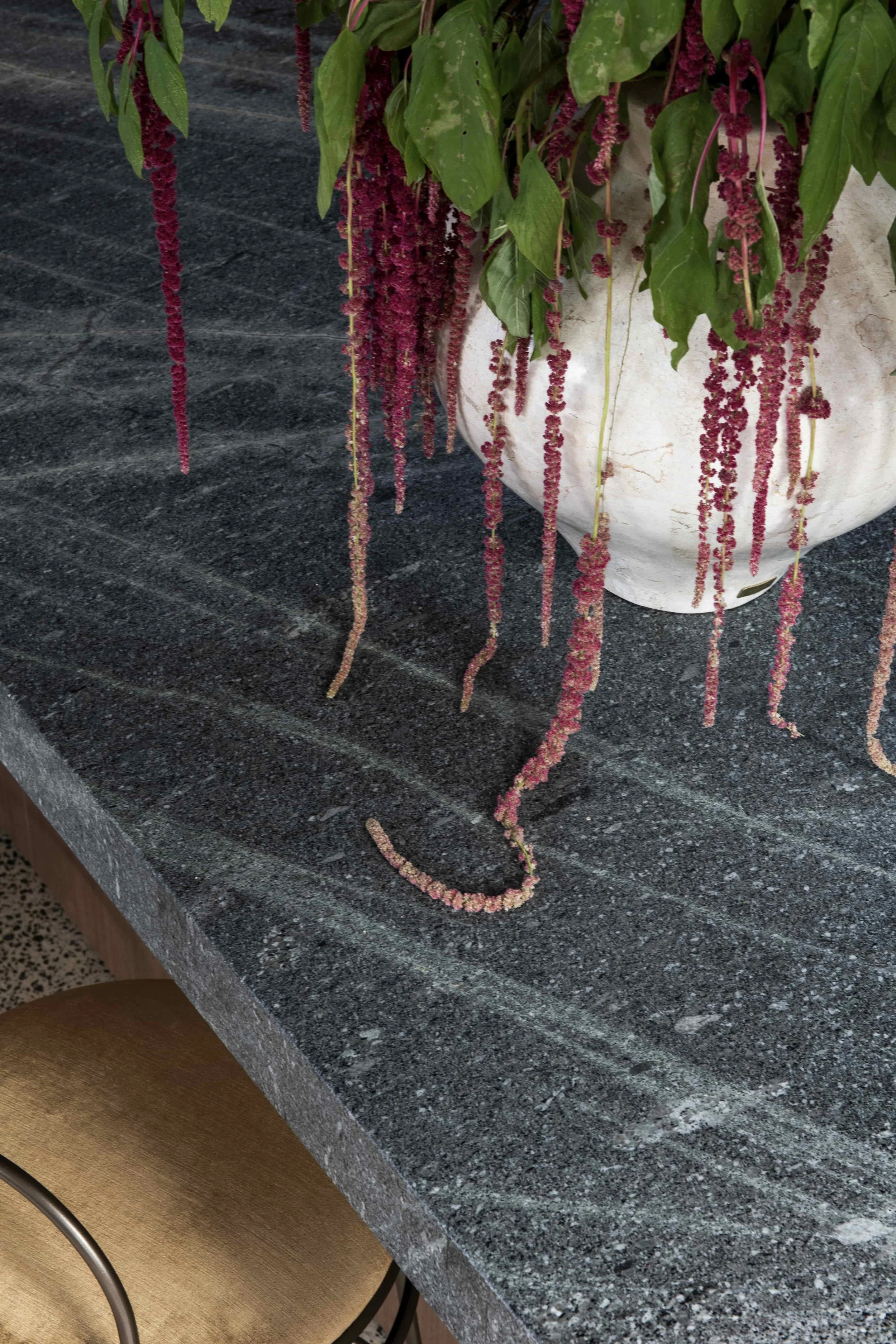 A potted plant with long, hanging, pinkish-red flower strands on a dark grey stone benchtop.