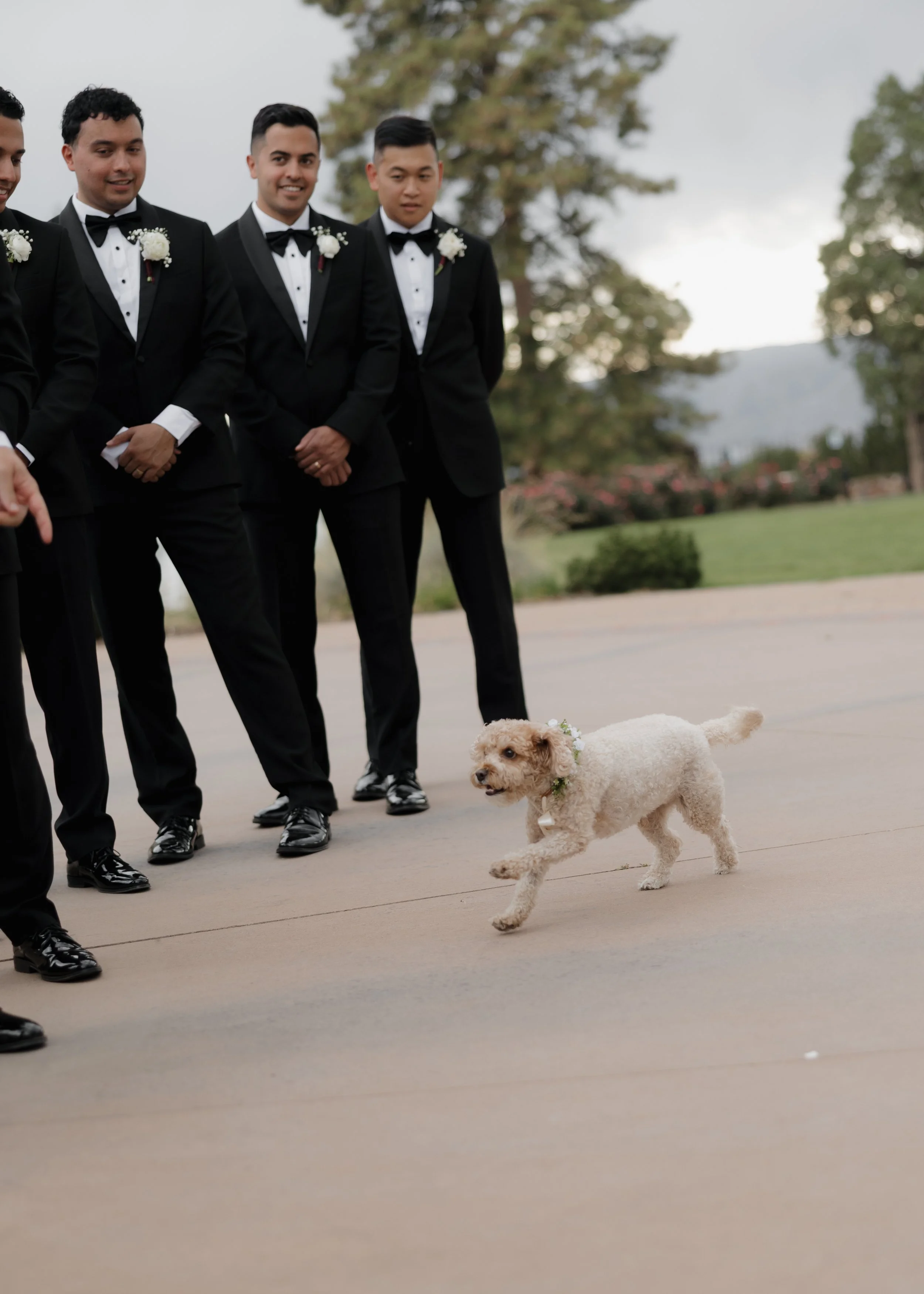 HighlandsRanchMansionDenver-WildThistlePhoto-OklahomaWeddingPhotographer-3375.jpg