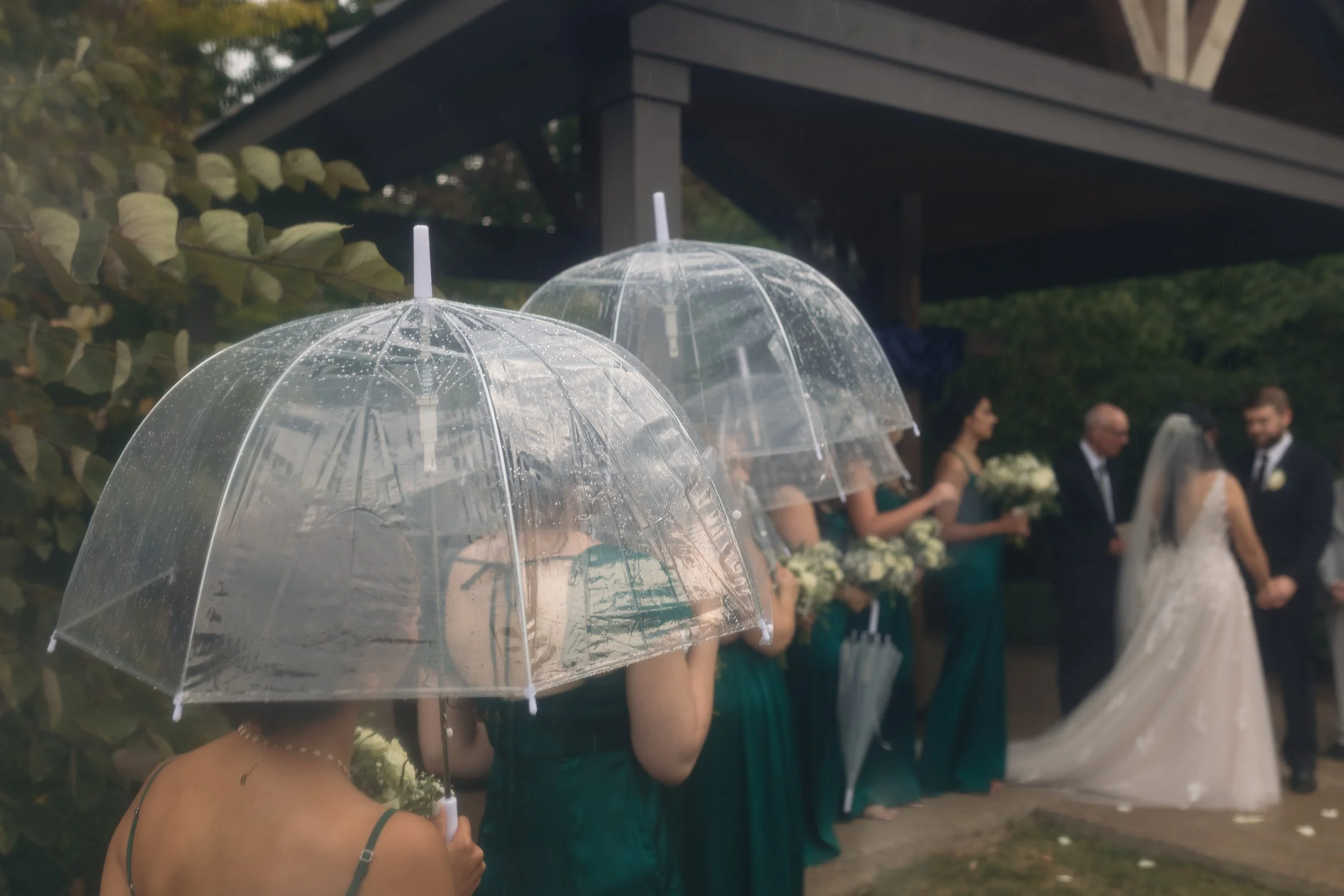 Clear Umbrellas