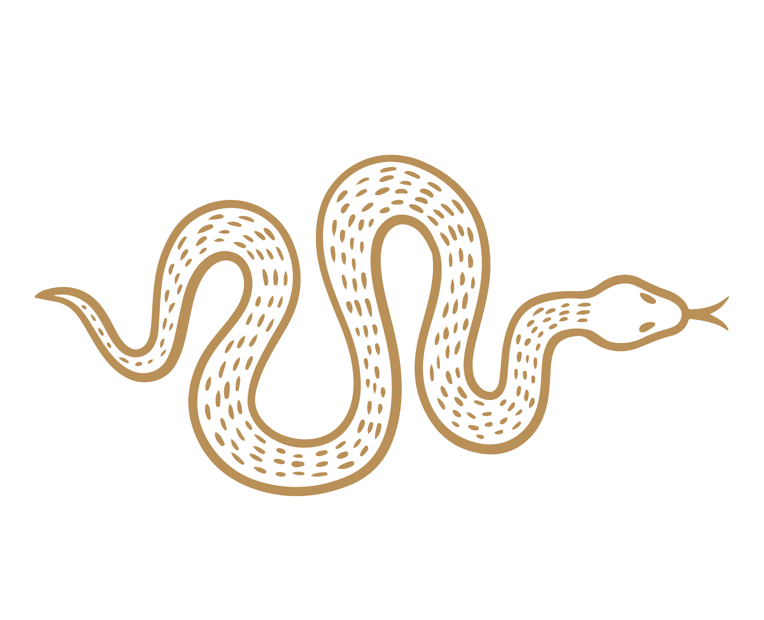 Illustration of a snake with its body coiled and extended, patterned with dotted lines, on a black background.