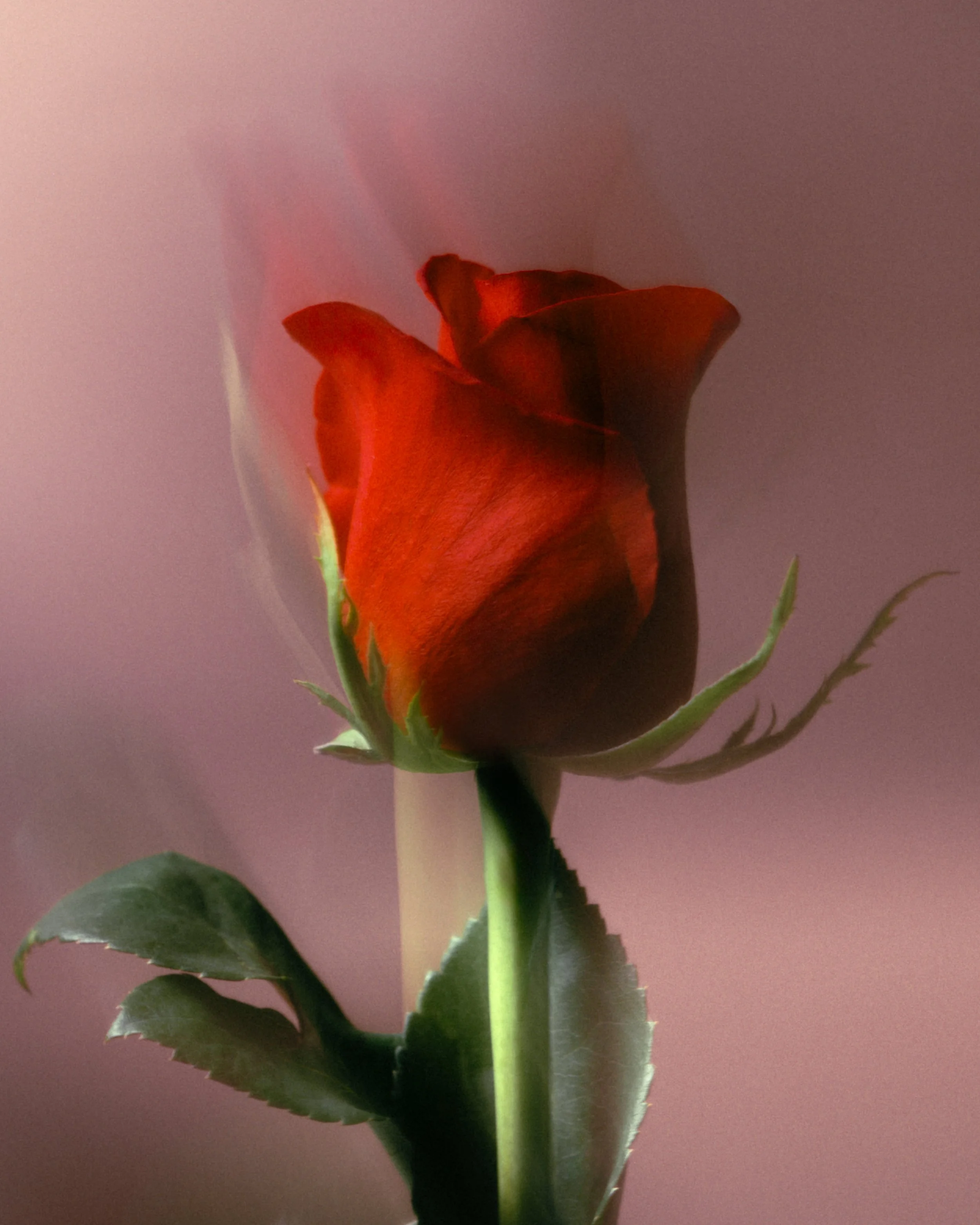 L1073858-Edit-2.jpg